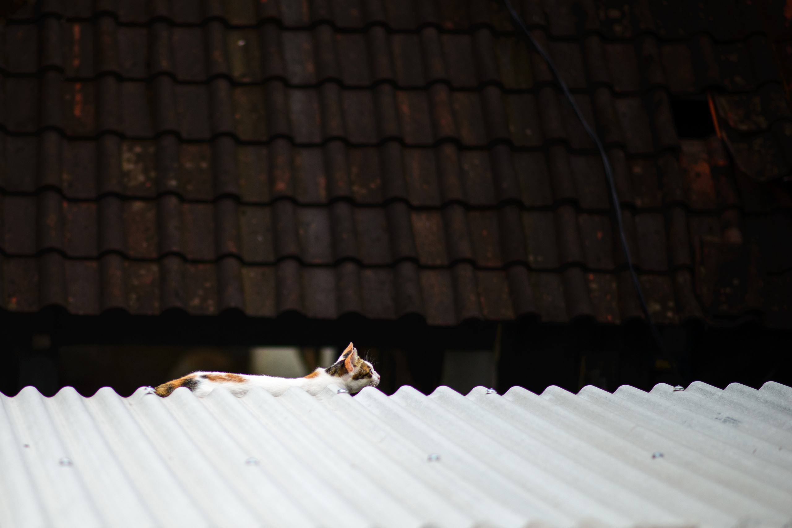 Street. Unit still photographer Roman Galasun