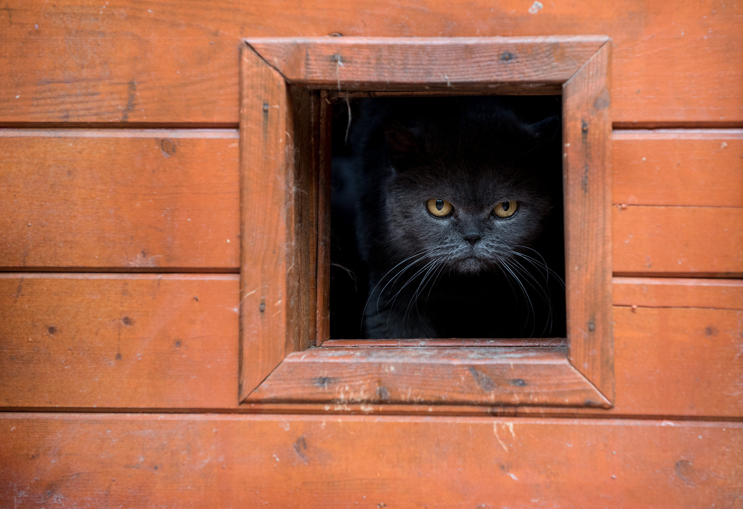 Street. Unit still photographer Roman Galasun