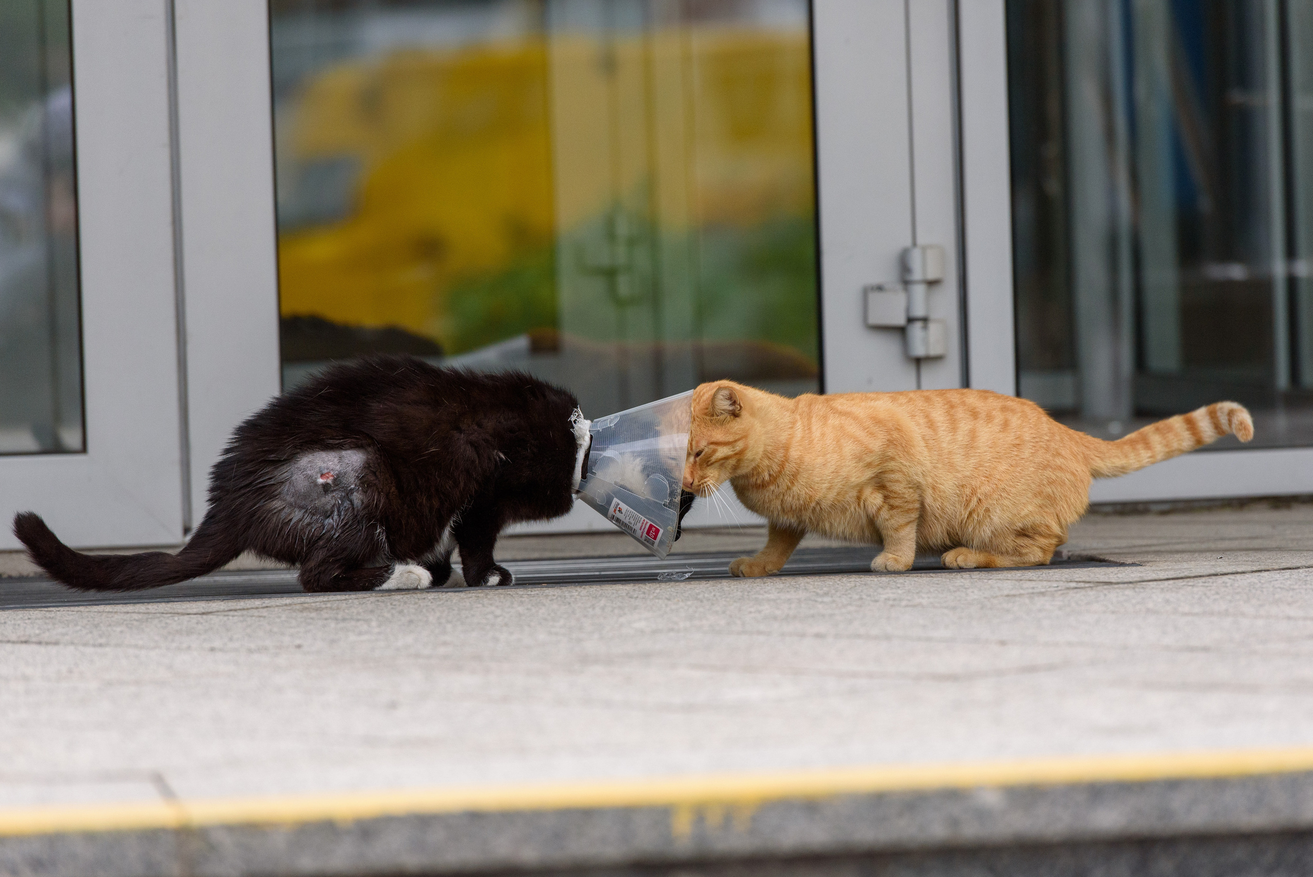 Street. Unit still photographer Roman Galasun