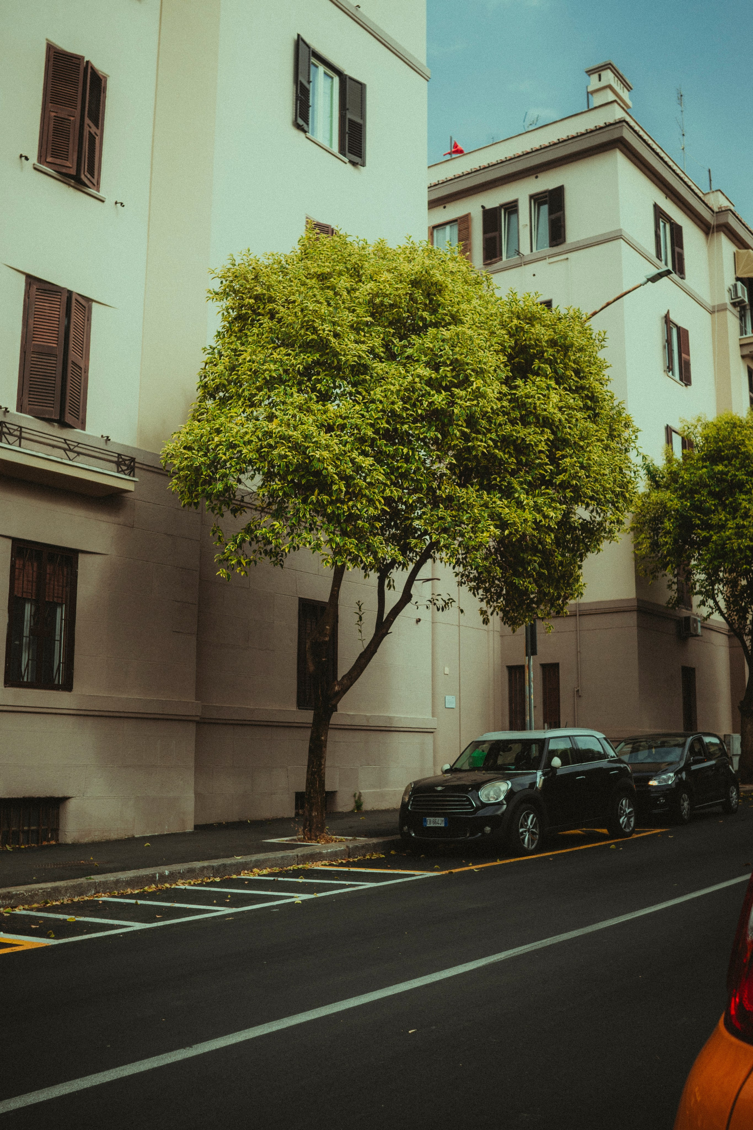 Street. Federico Anglano