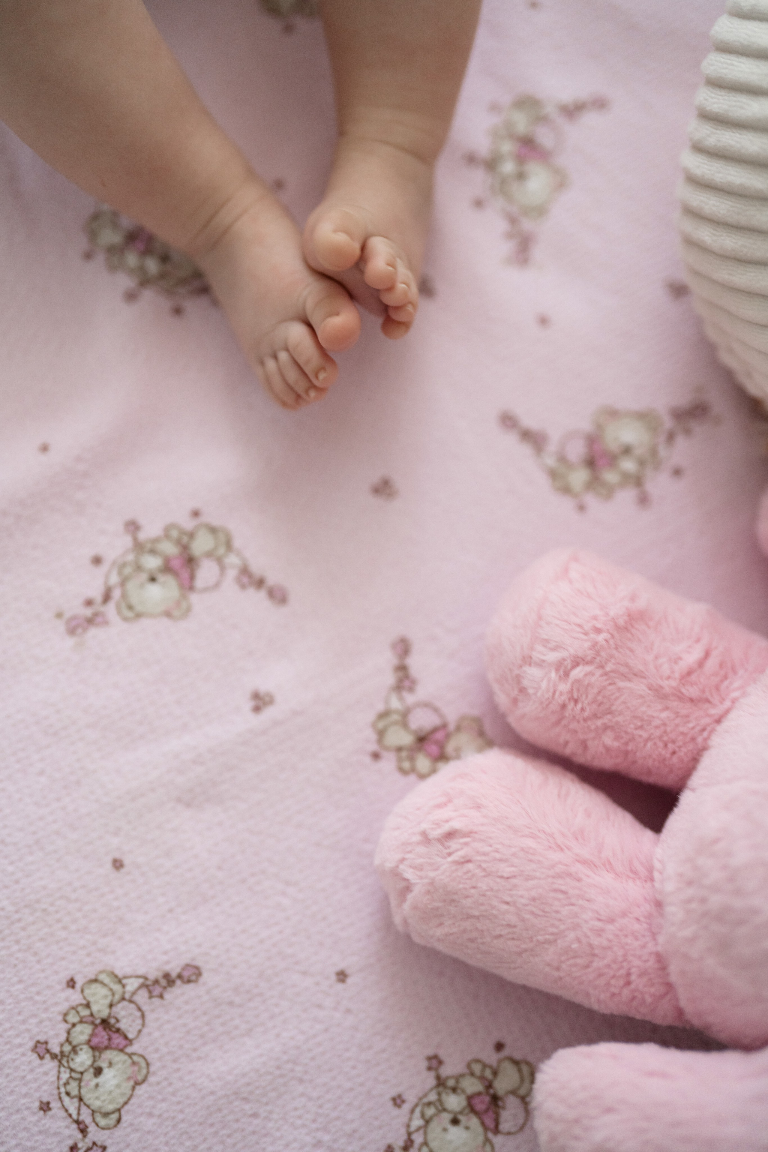 Adele Mari. Studio Timis