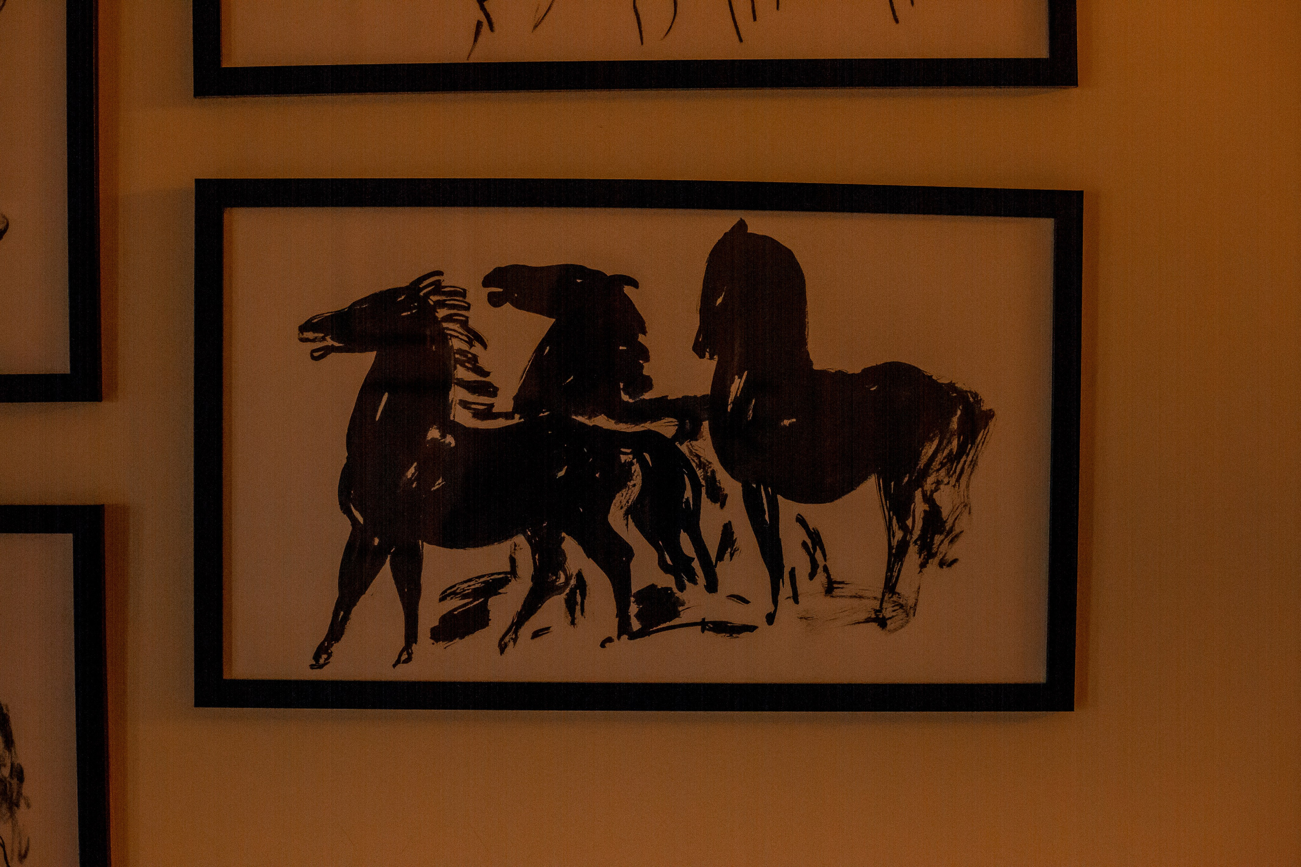 Turkey, Rize. Art Photographer