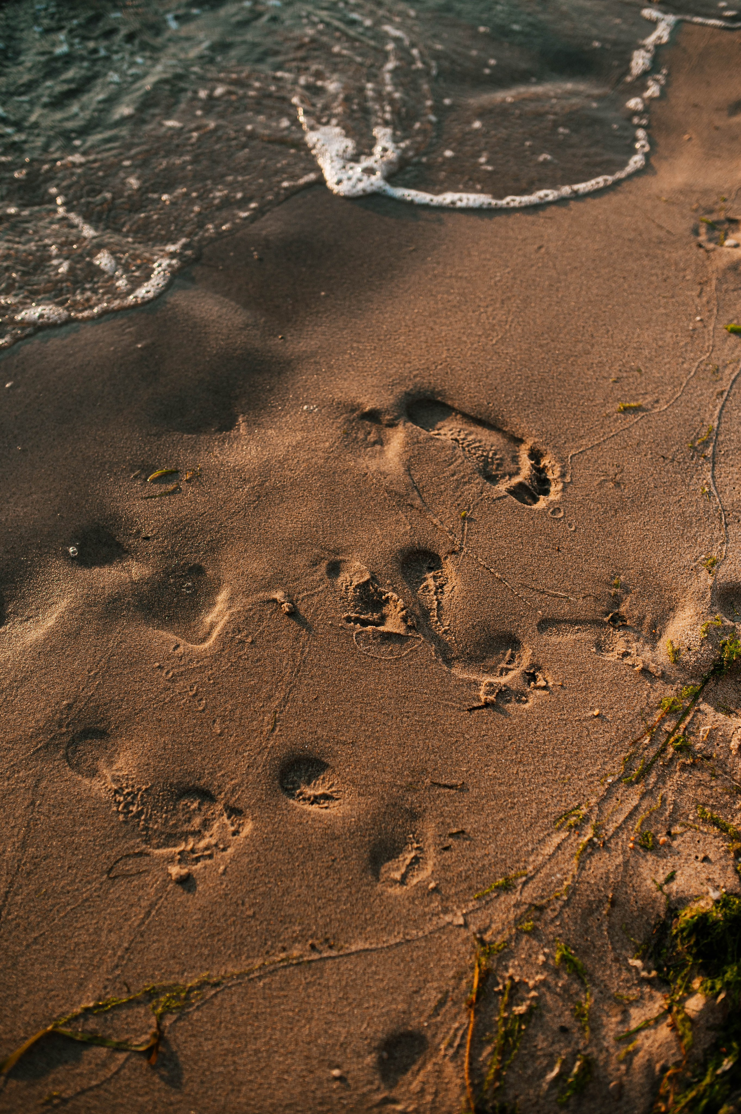 Aida, Ruslan, Alan. Home page