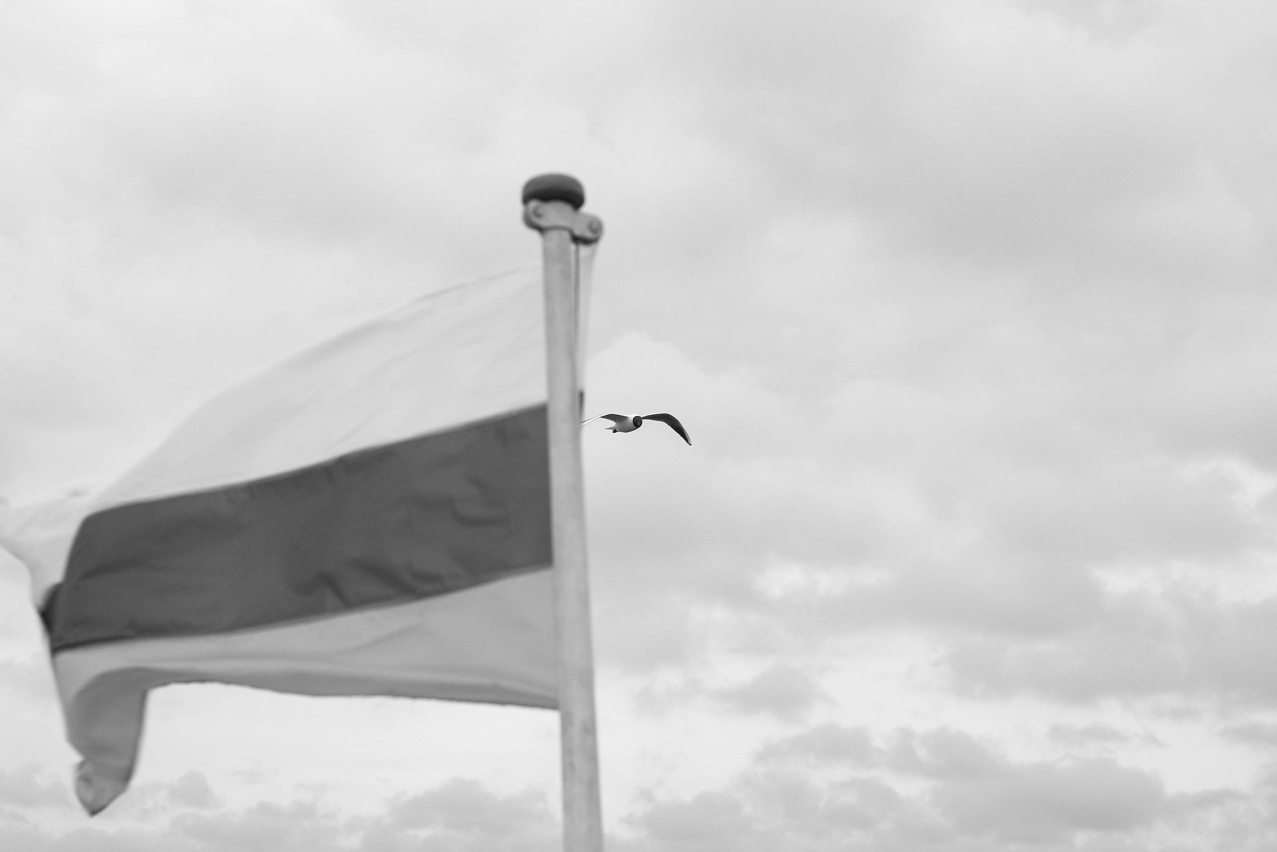 Russia, Kazan. Art Photographer