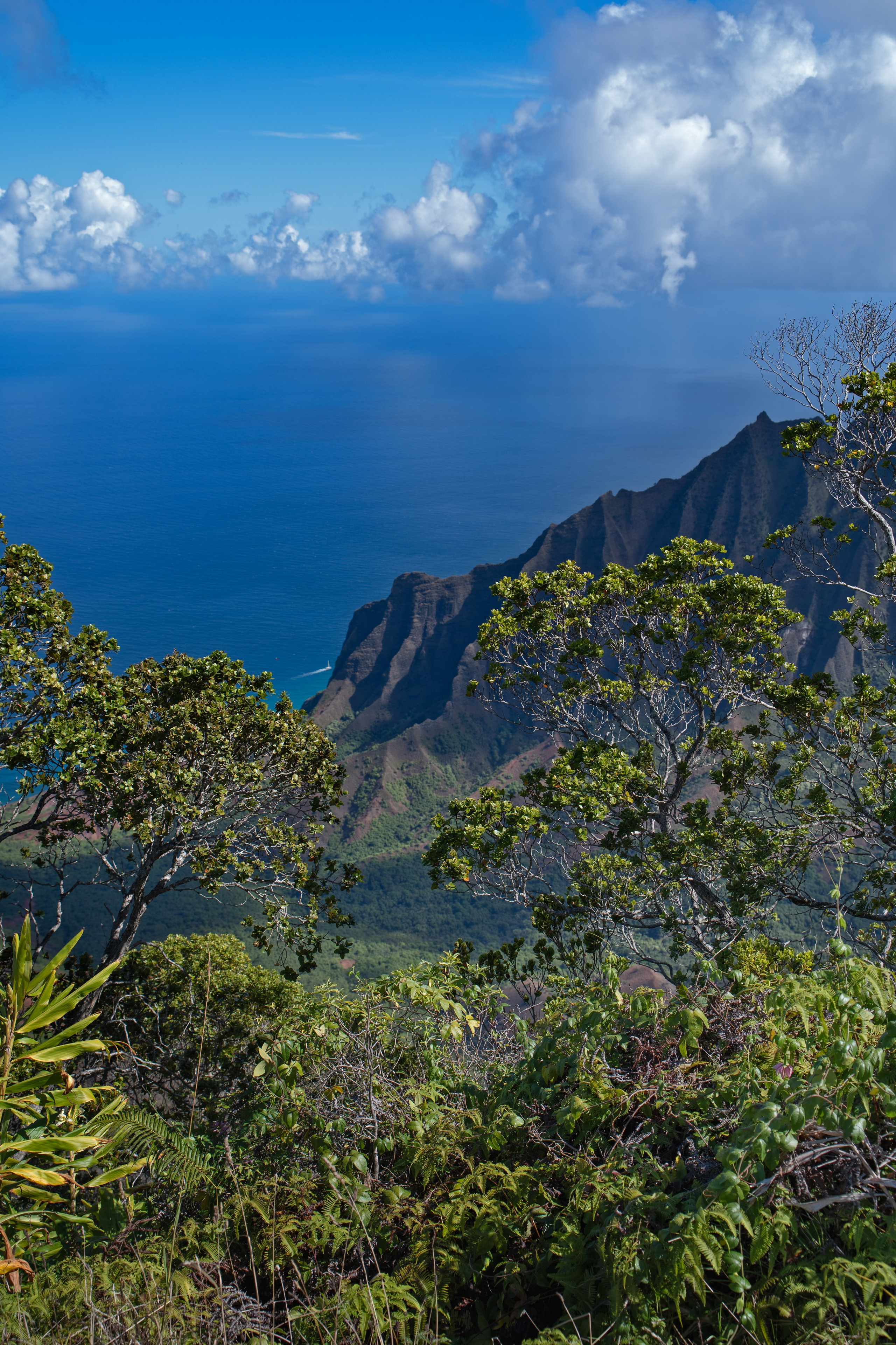 LANDSCAPES. Awards winning photographer in Kauai, Hawaii