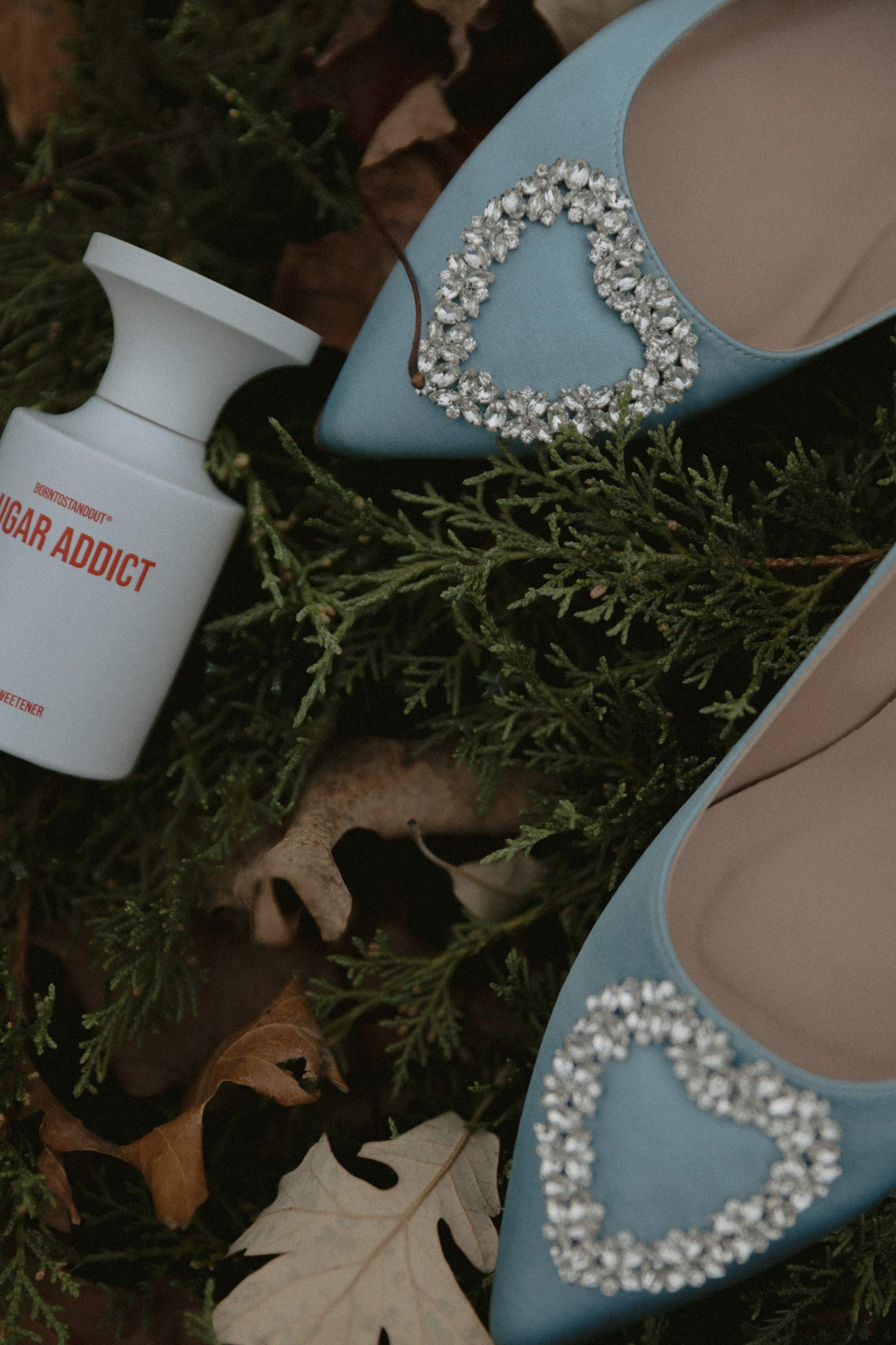 Jose&Thalia. Couple photographer in Chicago