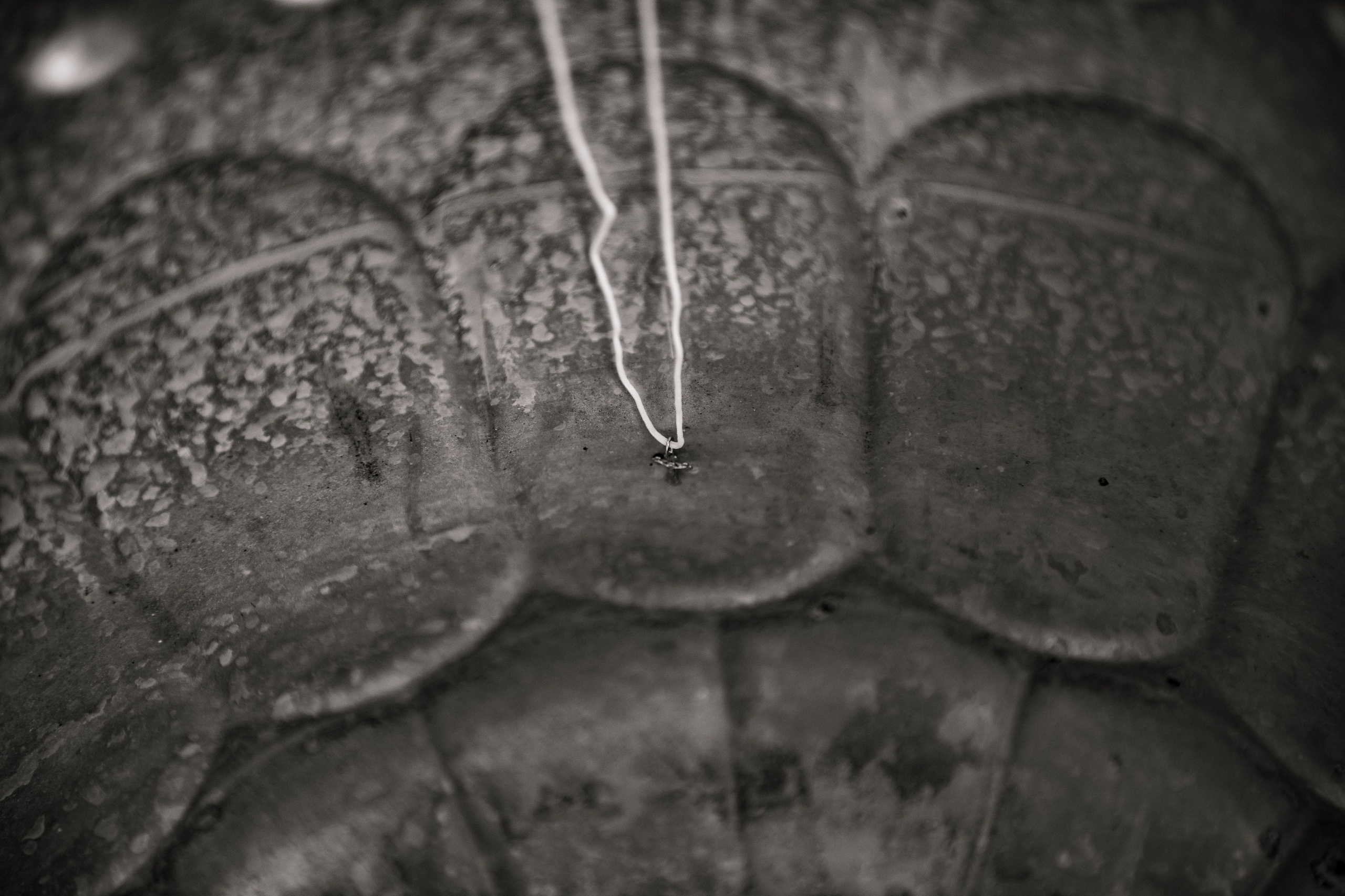 07.09.2024. Fotograf de familie Vitalie Budoianu