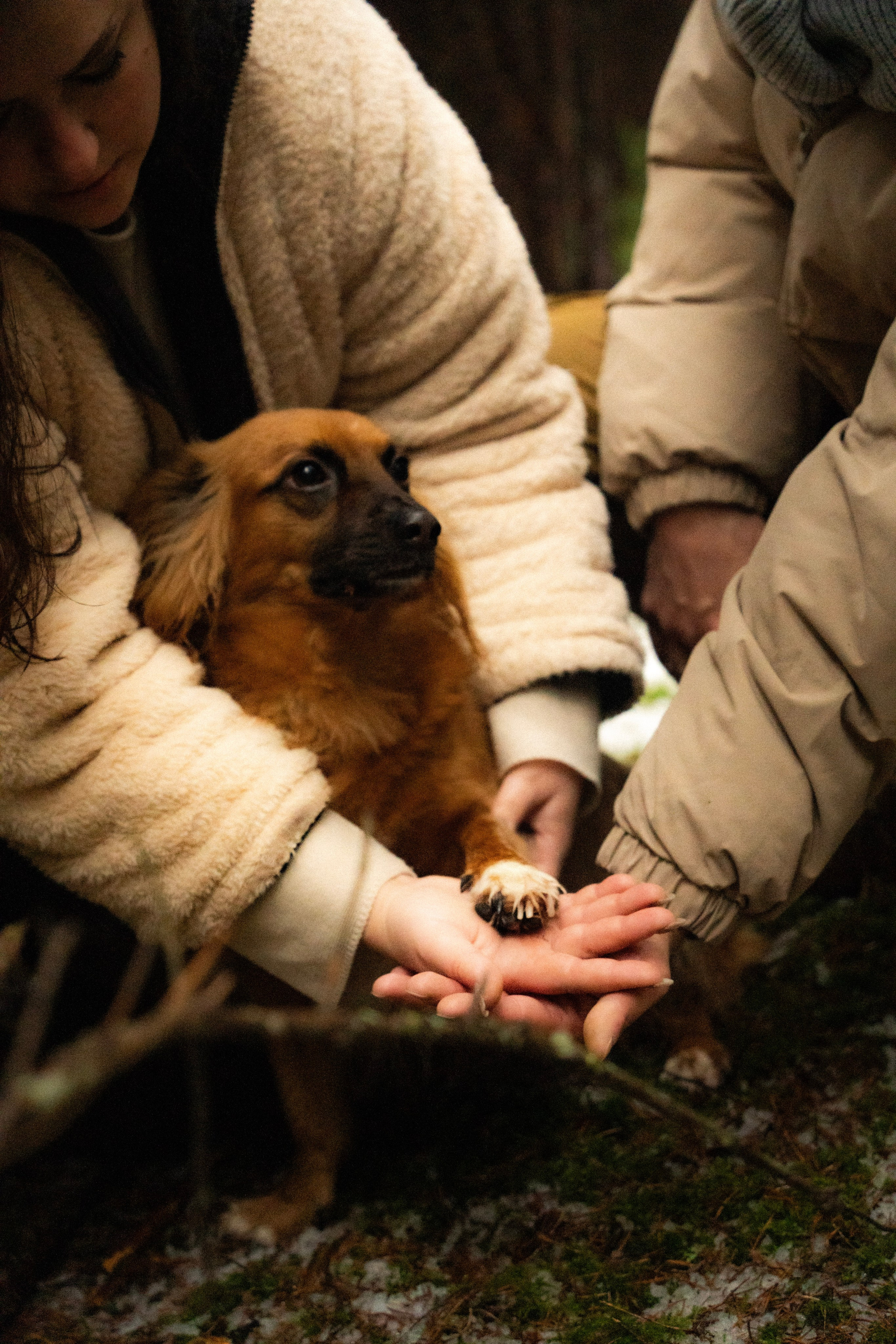 Irina and Oleg. Everwarm Photo and Video Studio