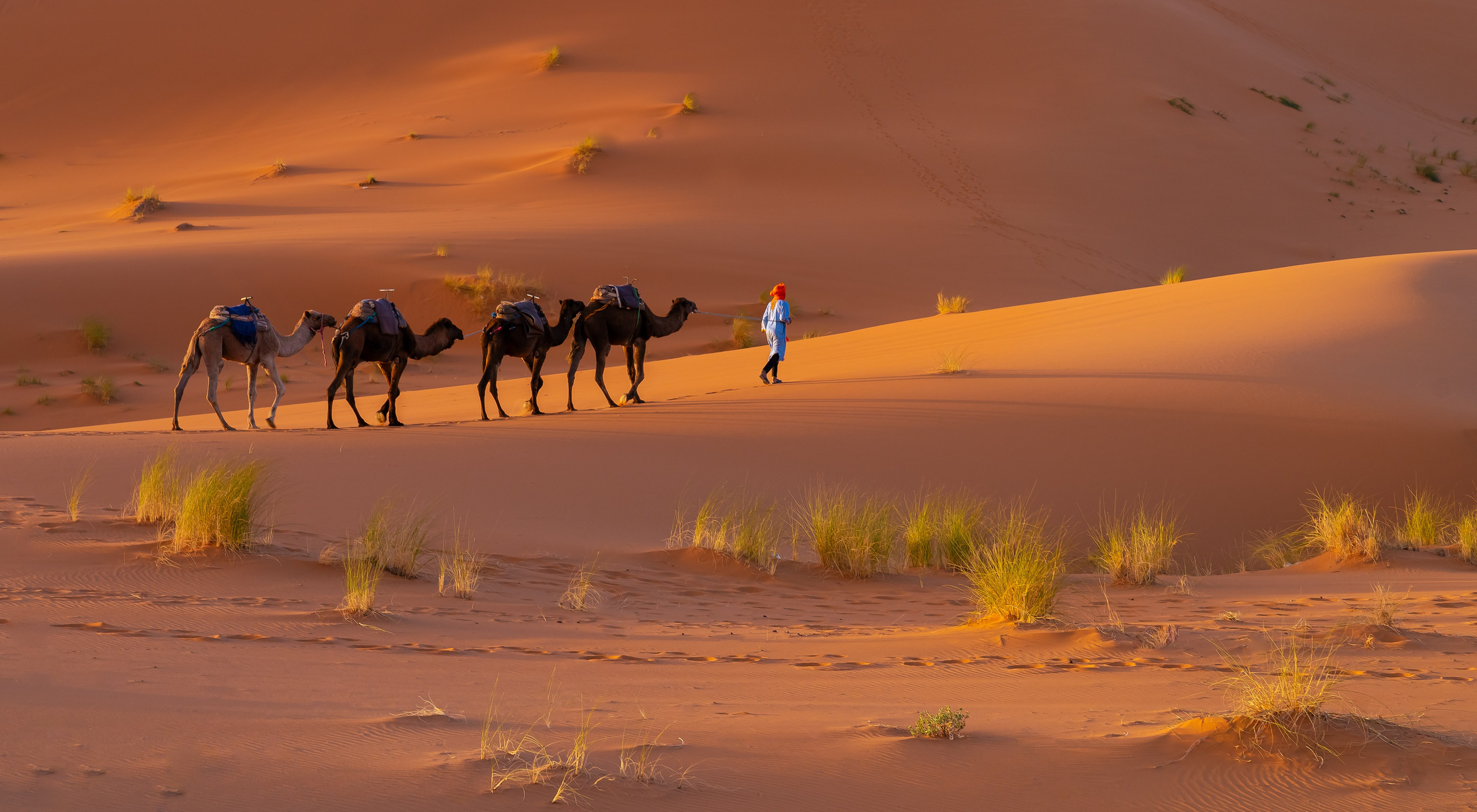Galery. Fotografie de Familie, Nuntă și Evenimente - Marian V. Munteanu