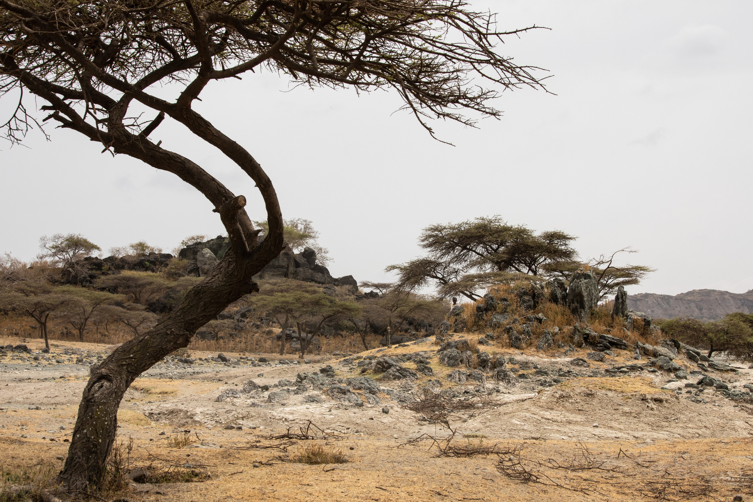 Abijatta Shalla National Park, Ethiopia. Documentary, lifestile photographer in Morocco Marina Chaikovskaia