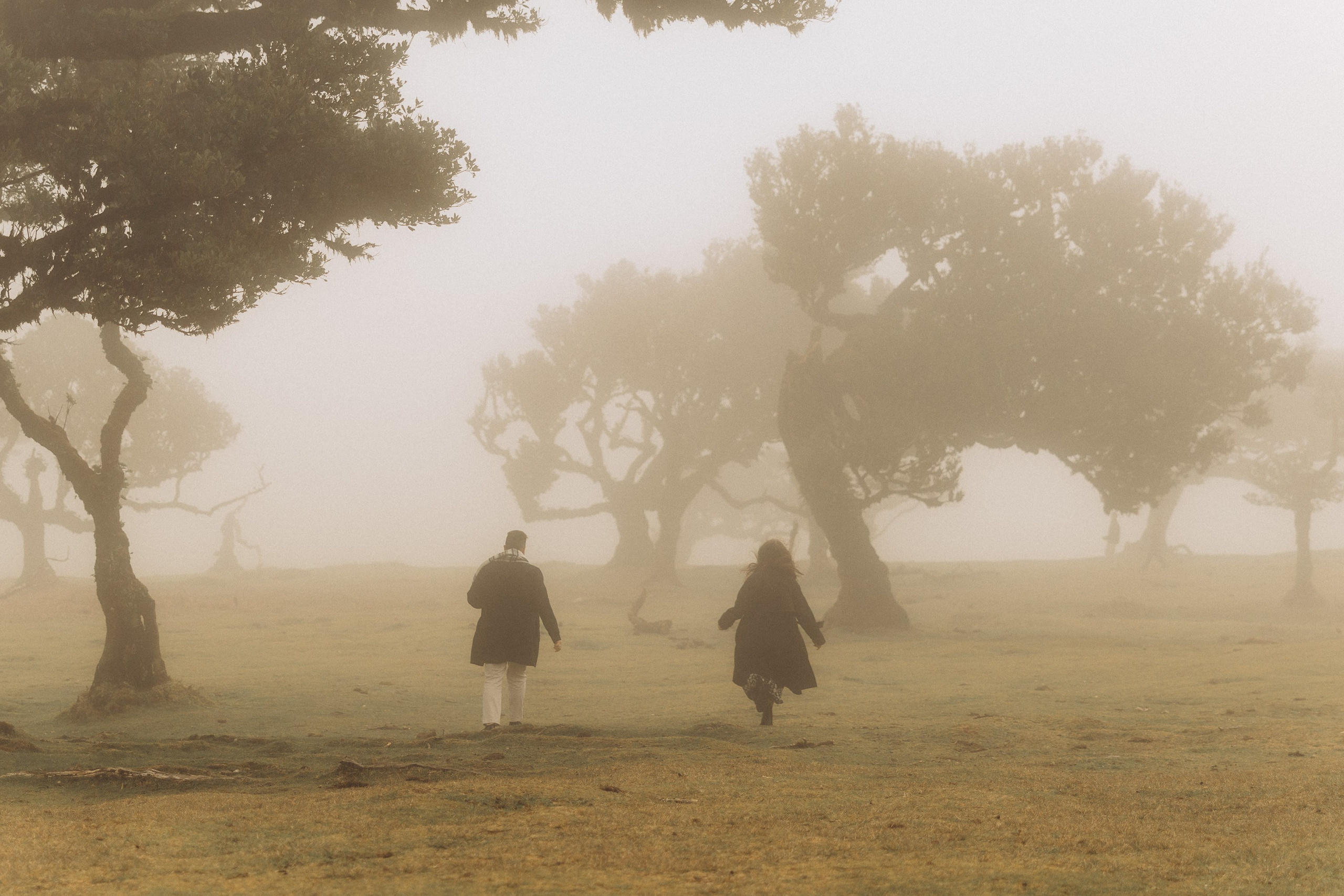 Couple photoshoot in Fanal Forest Madeira PortugalA romantic couple standing amidst the ancient laurel trees of Fanal Forest, Madeira, surrounded by a mystical fog that adds an ethereal touch to the scene