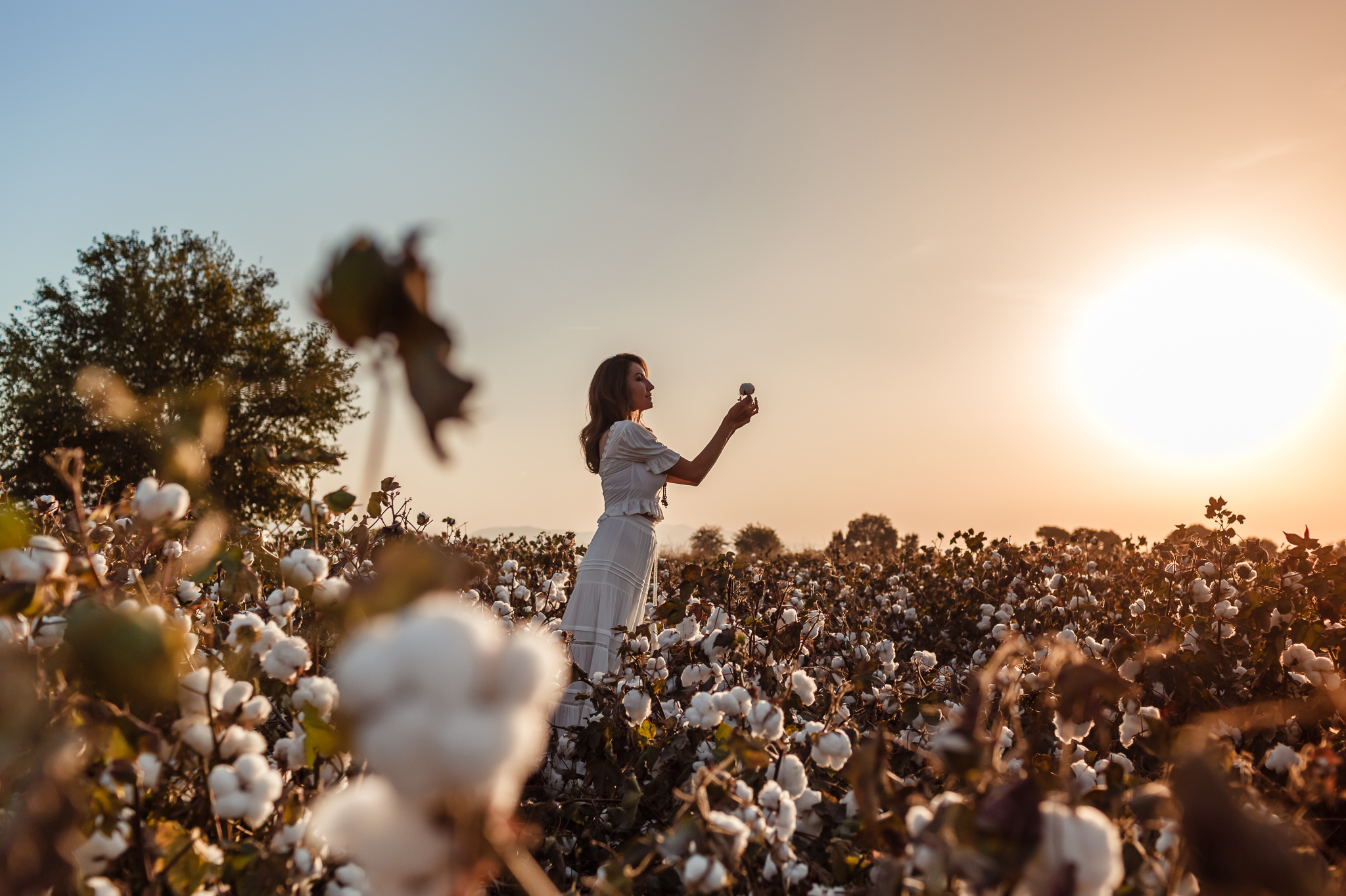 Photo session of Firuza in a cotton field