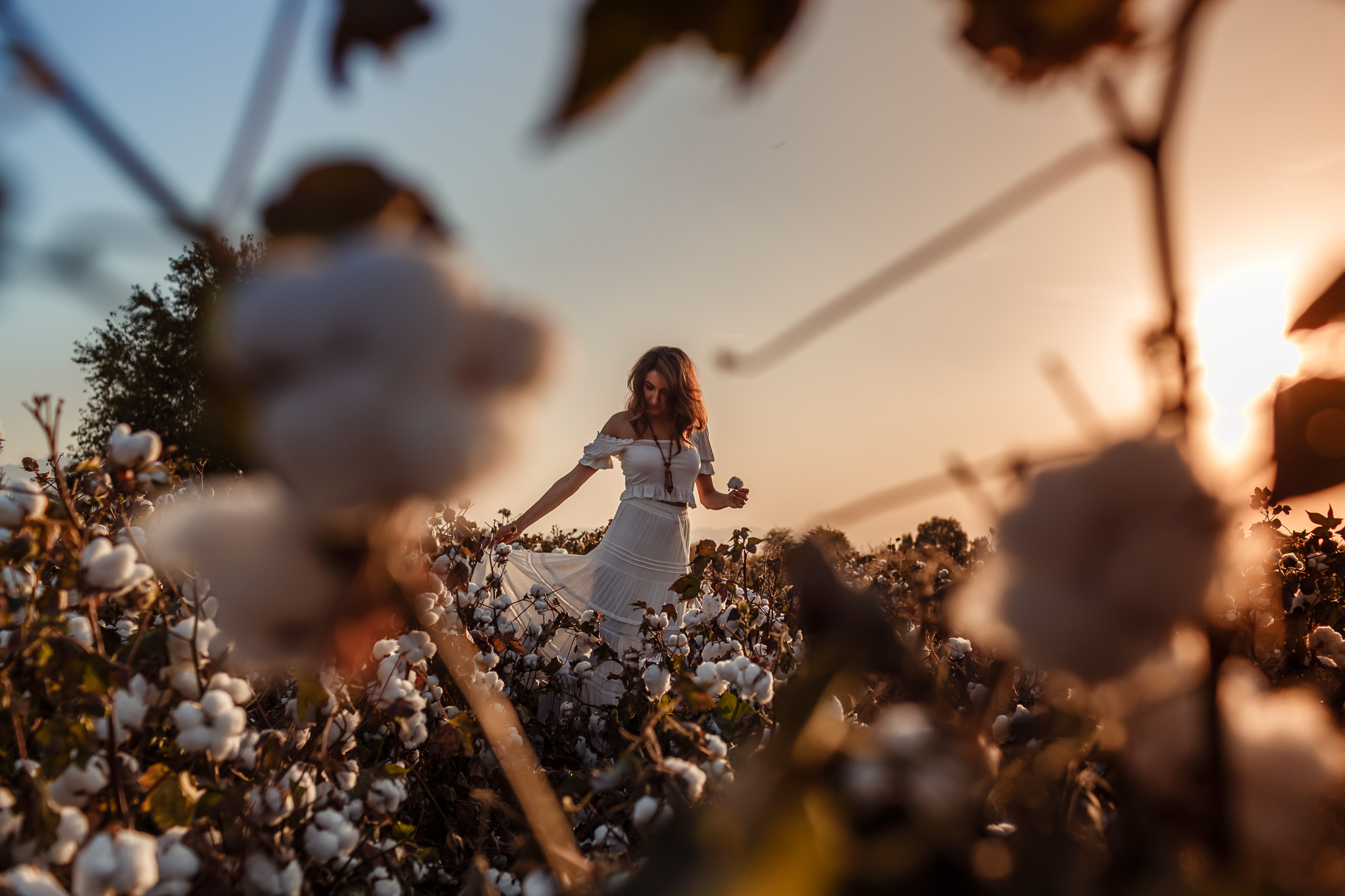 Photo session of Firuza in a cotton field