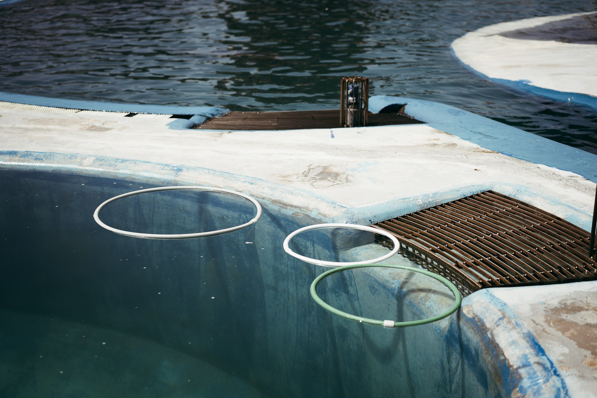 200 kilohertz. Stanislava Novgorodtseva — Photographer | Visual Artist | Educator