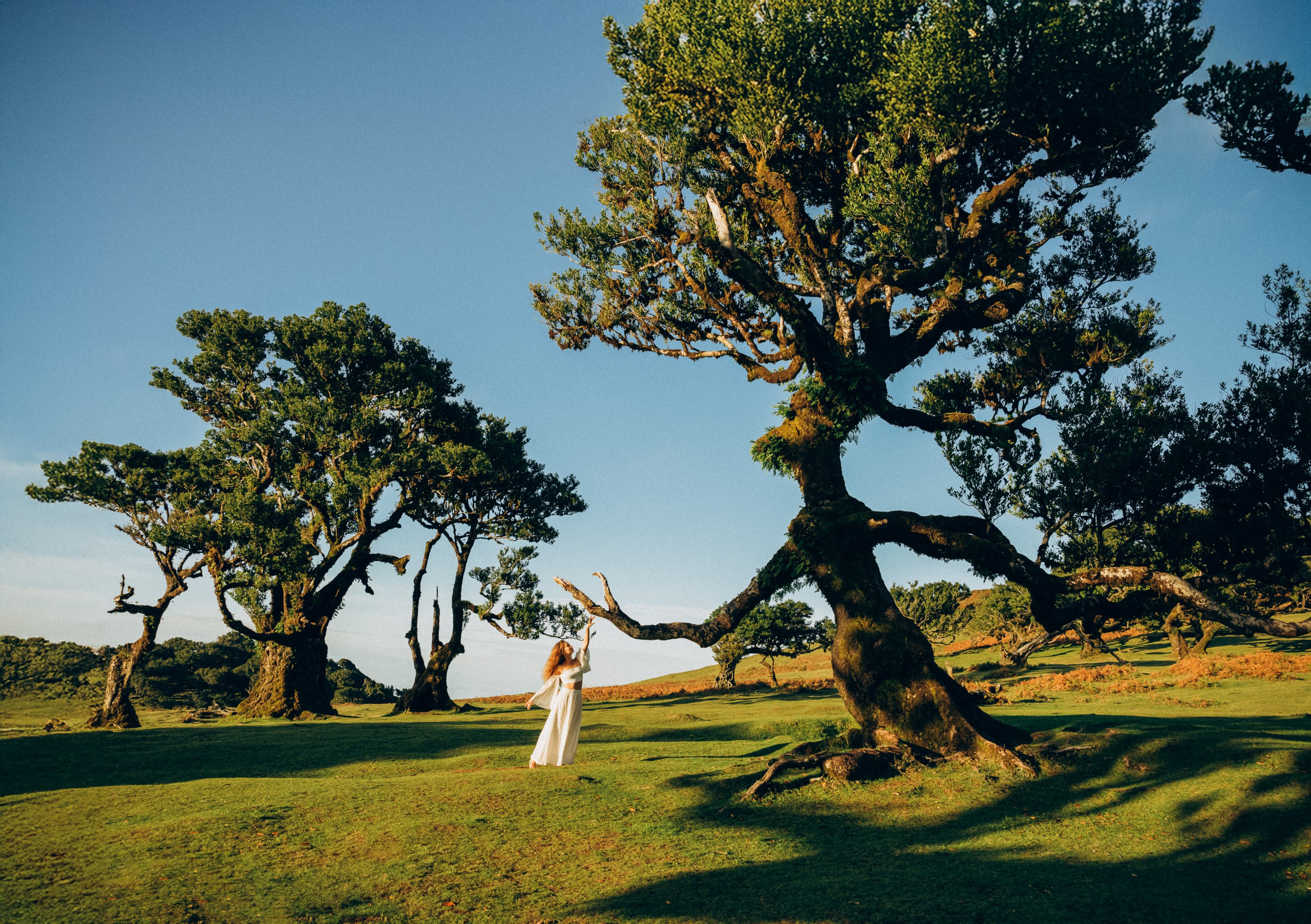 Photoshoot in the enchanting Fanal Forest