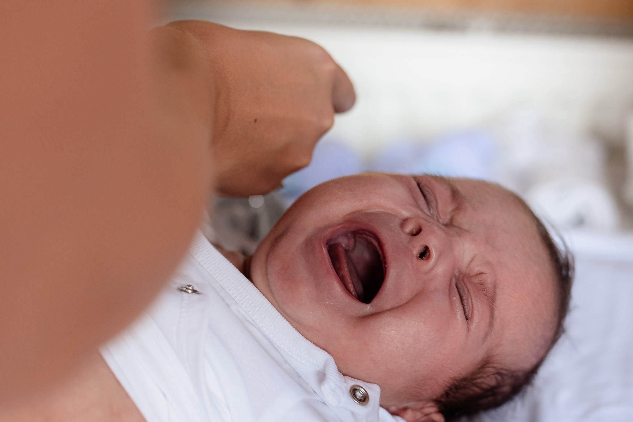 Gemenii Vlad & Damian | Berbesti