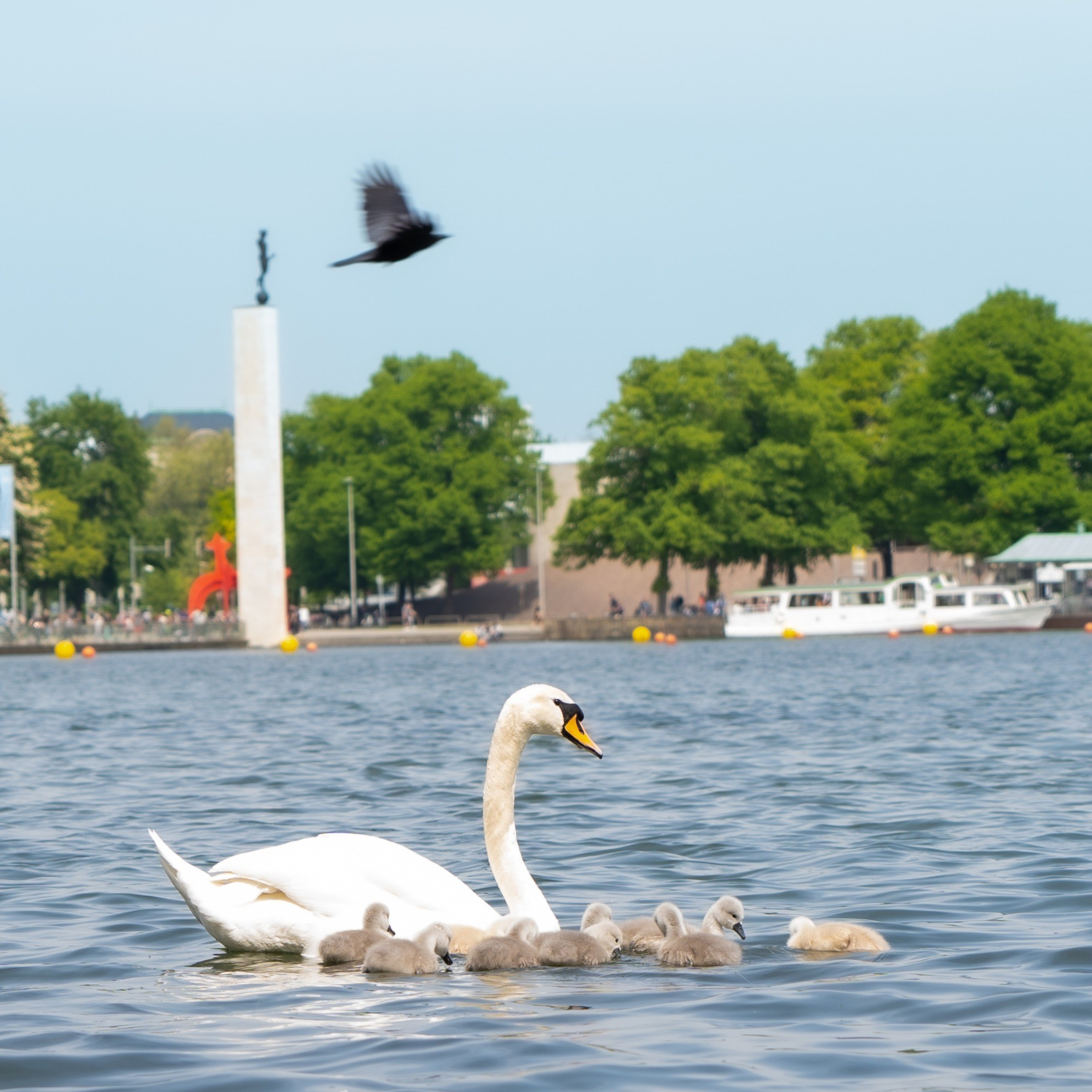 Tierwelt. Bürgerreporter & Amateurfotograf in Hannover
