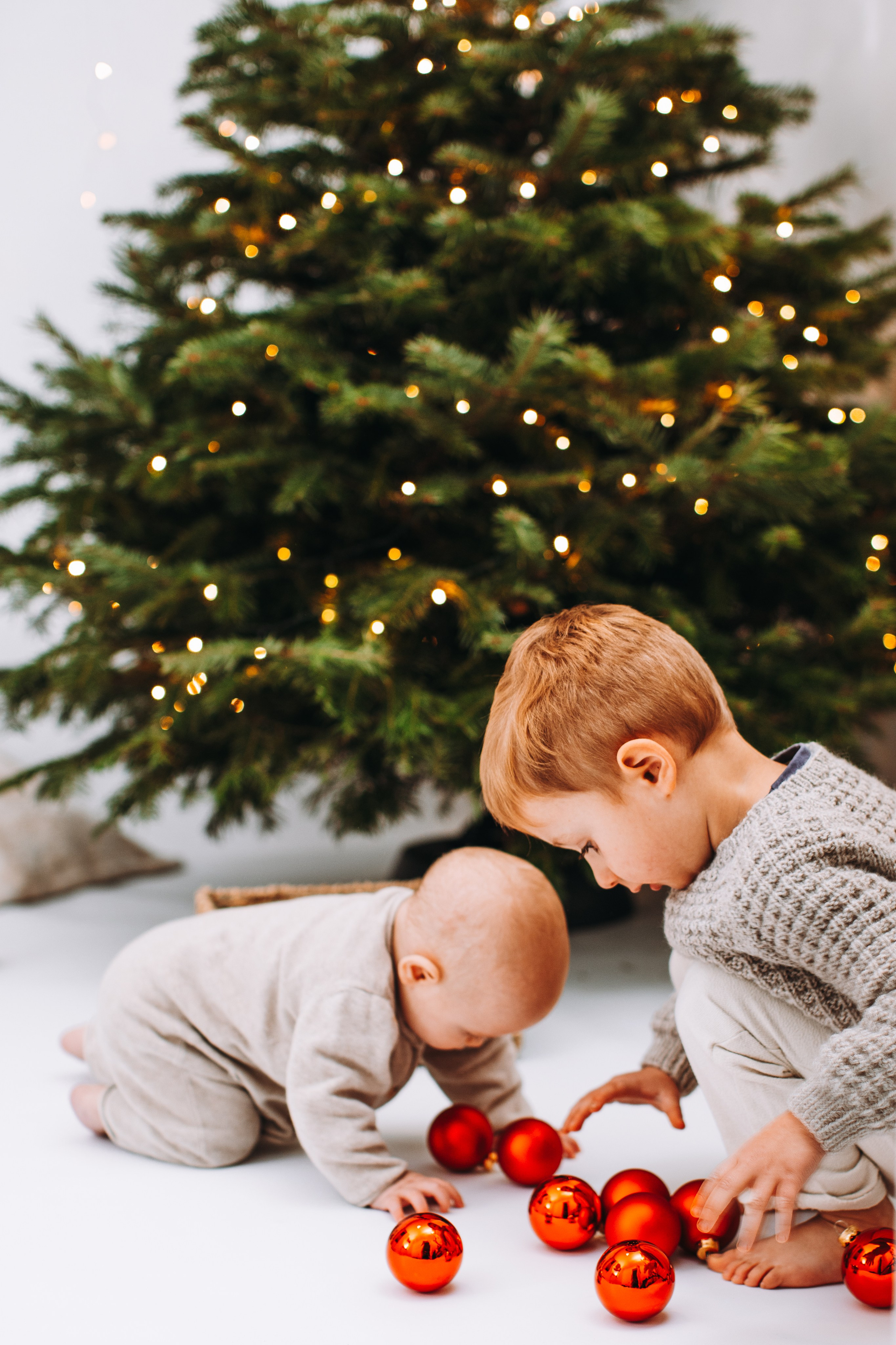 Weihnachtsshooting. Dienstleistungen