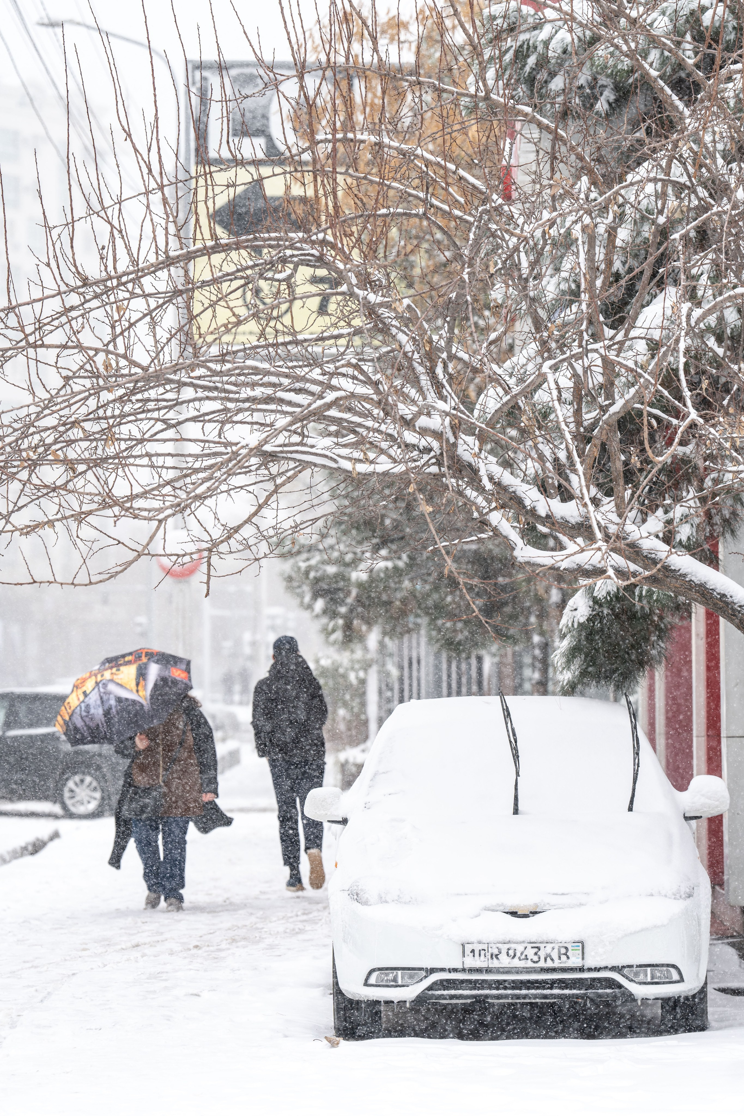 Снег. Георгий Намазов | Фотограф в Ташкенте