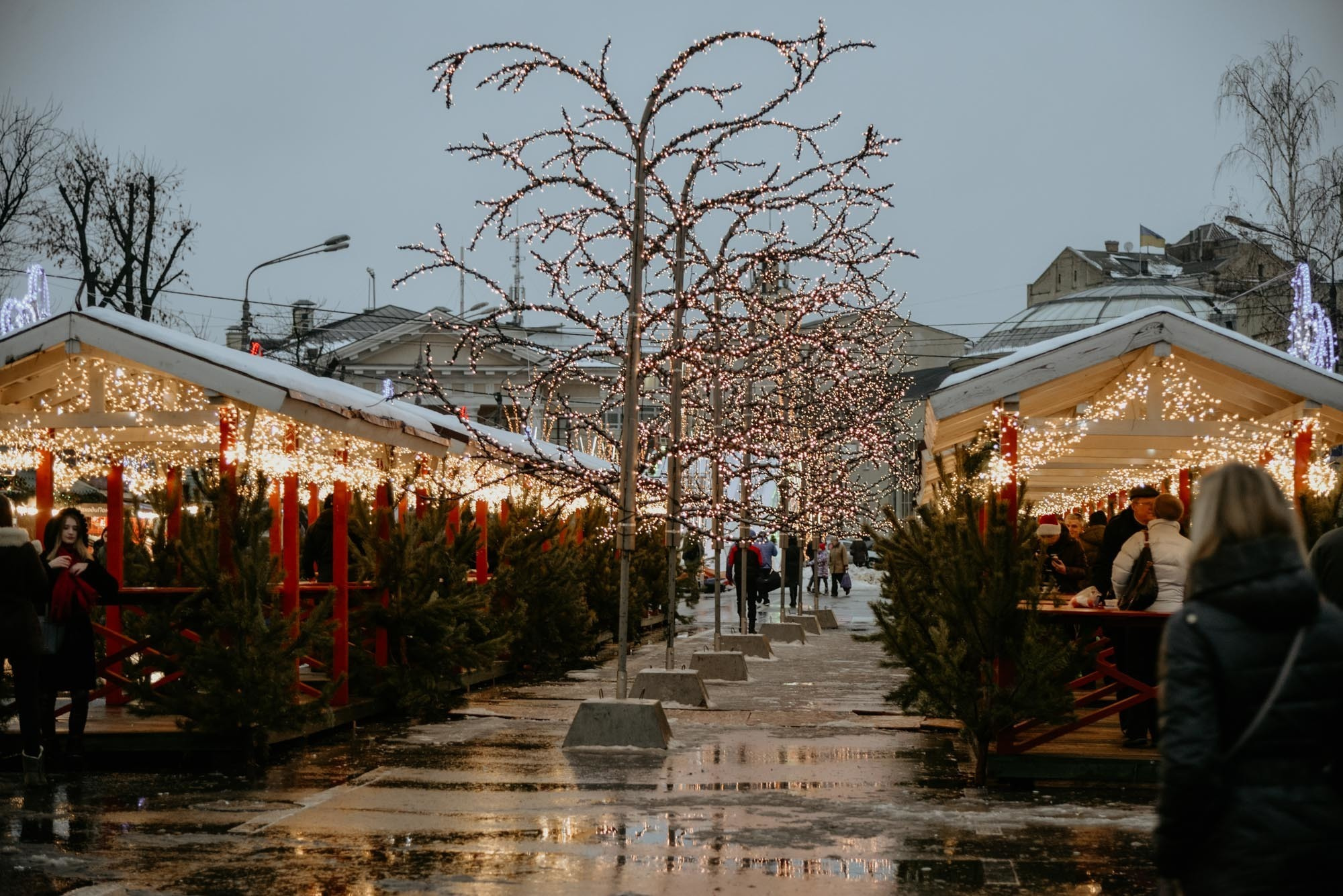 Yana & Vitaliy. Family Lifestyle Photography