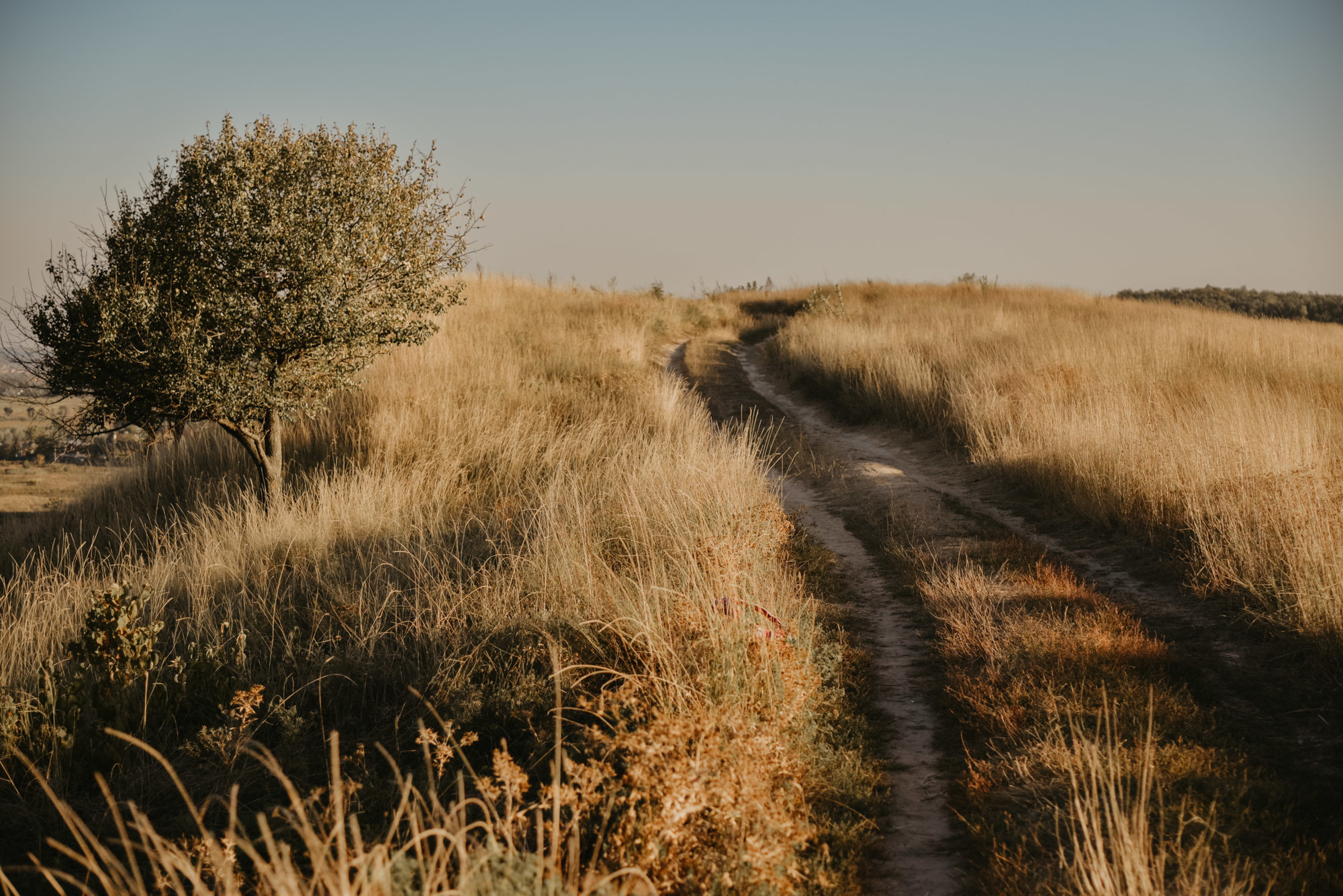 Sunset Ceremony. Family Lifestyle Photography