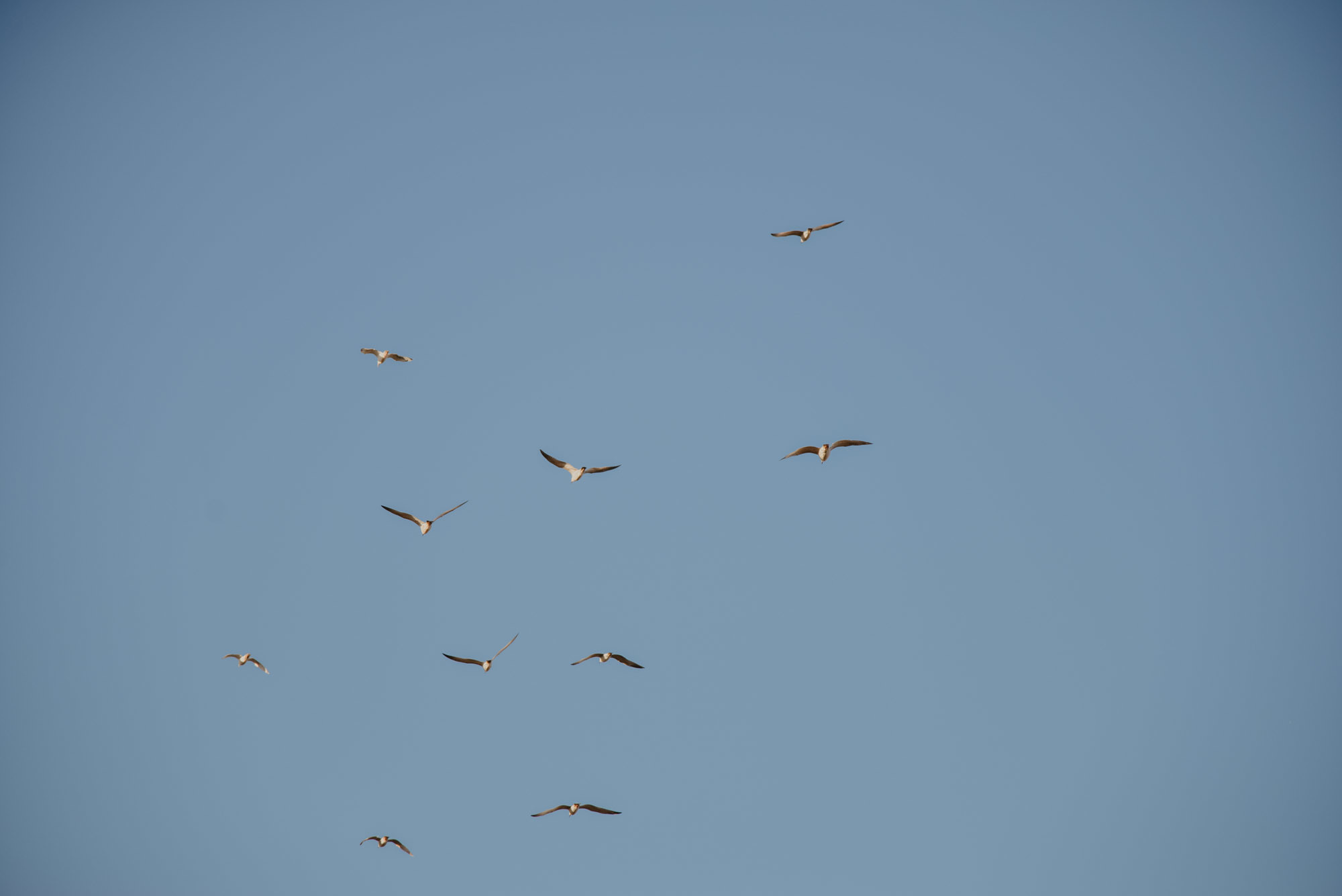 Sunset Ceremony. Family Lifestyle Photography