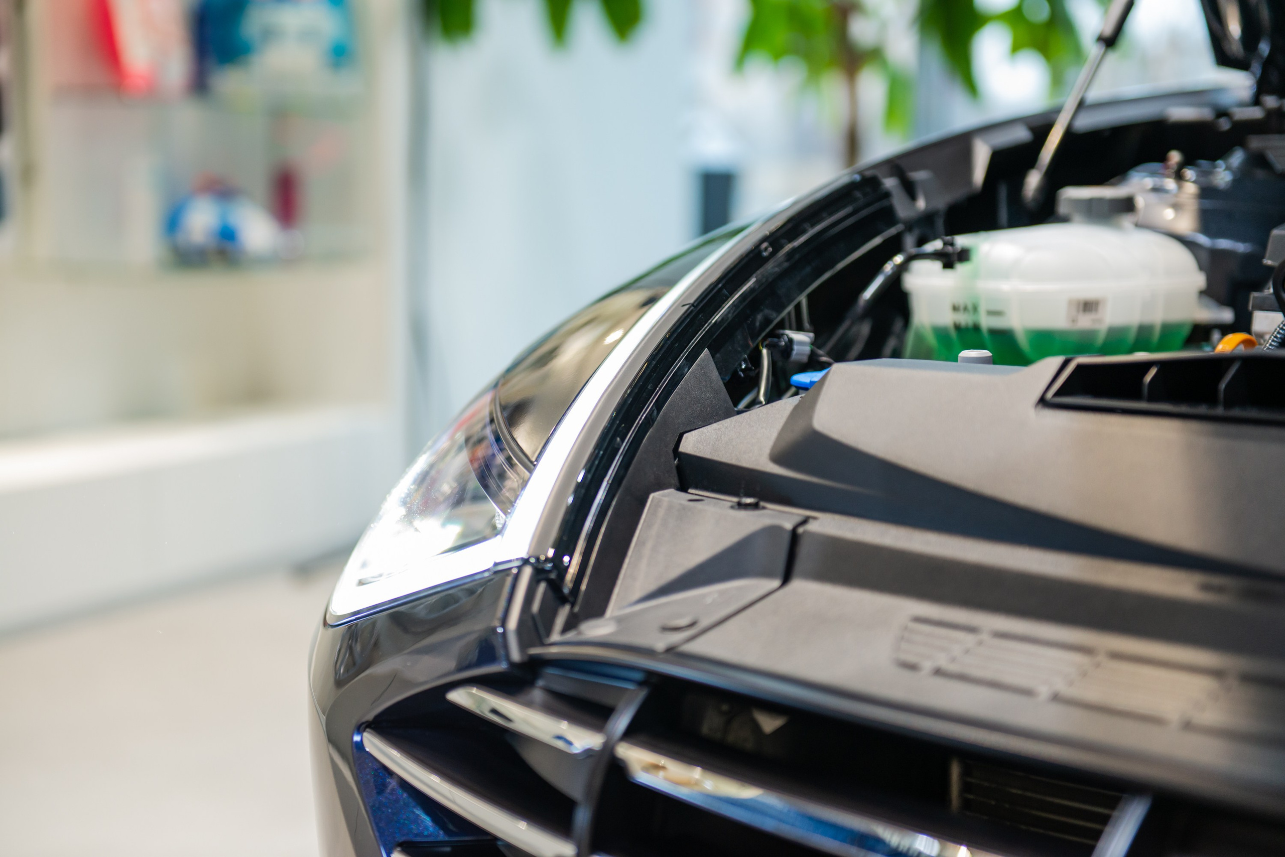 Reportage shooting. PHOTOGRAPHER QUINTANA ROO