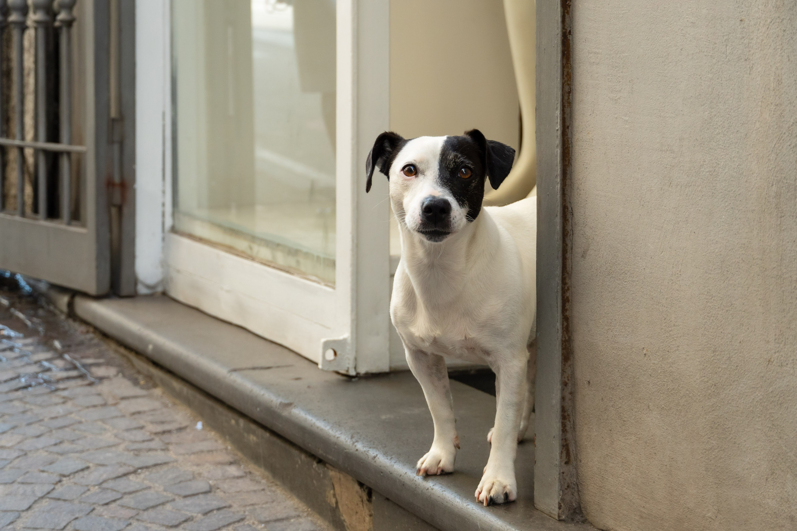 Napoli 2025. Fotografiideplacere.net