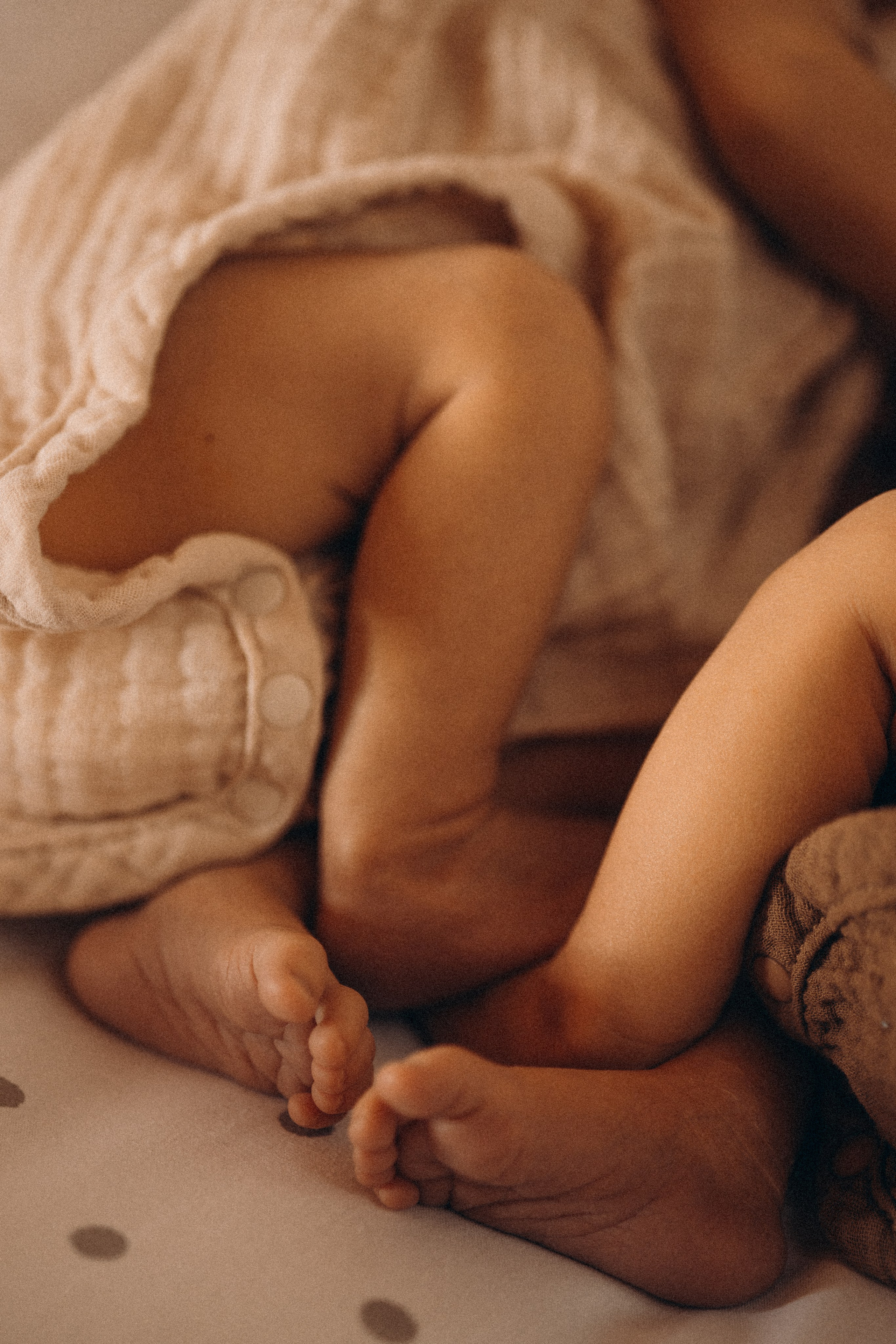 Newborn. Photographer Madeira