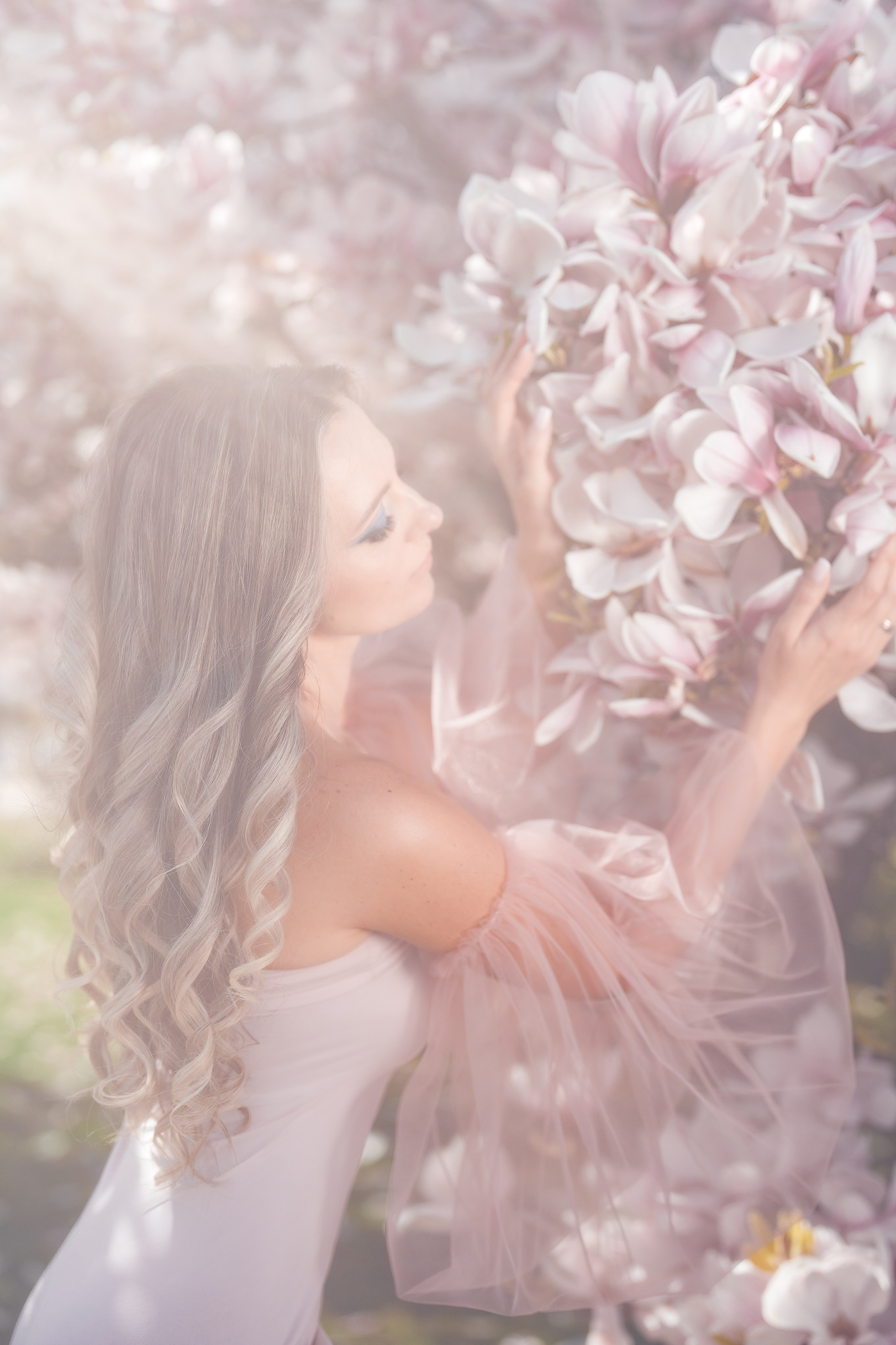 Magnolien. Familien, Lifestyle und Portrait Fotografin in Trier, Luxembourg