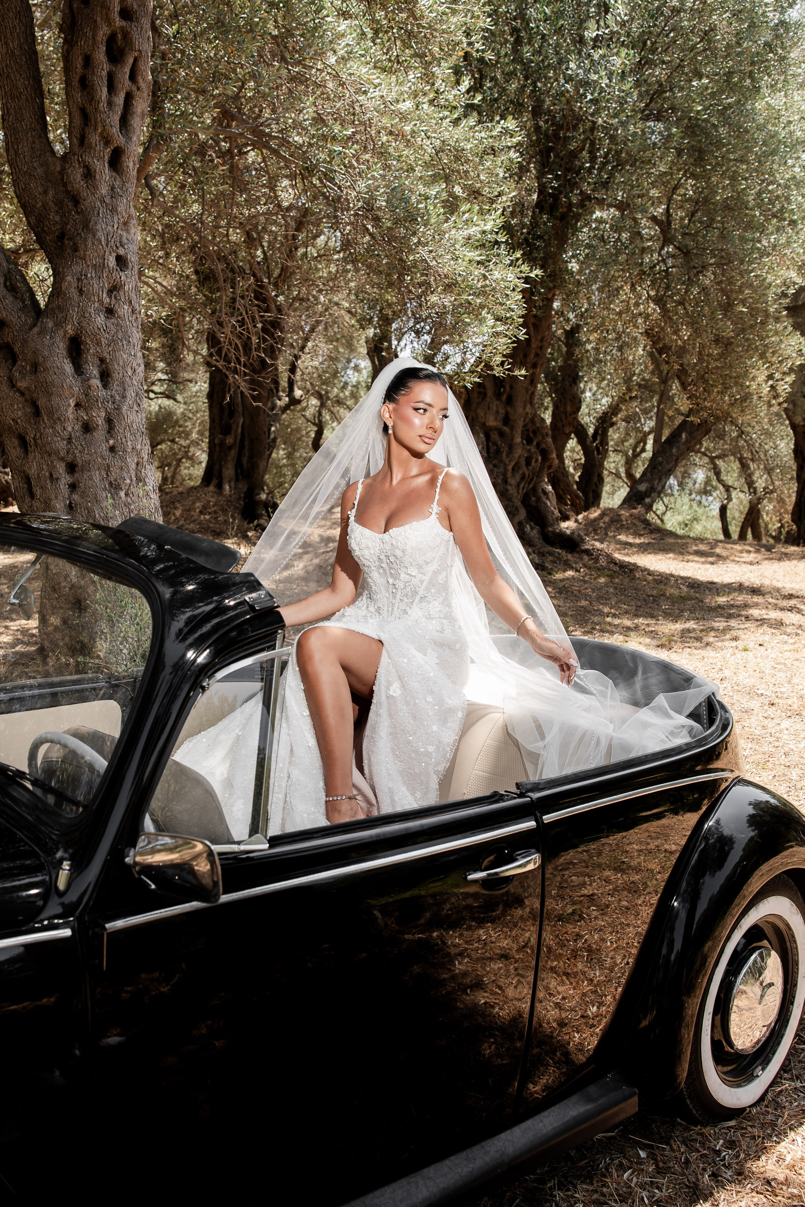 DENIS I AMELA. Wedding photographer Nermin Kajosevic