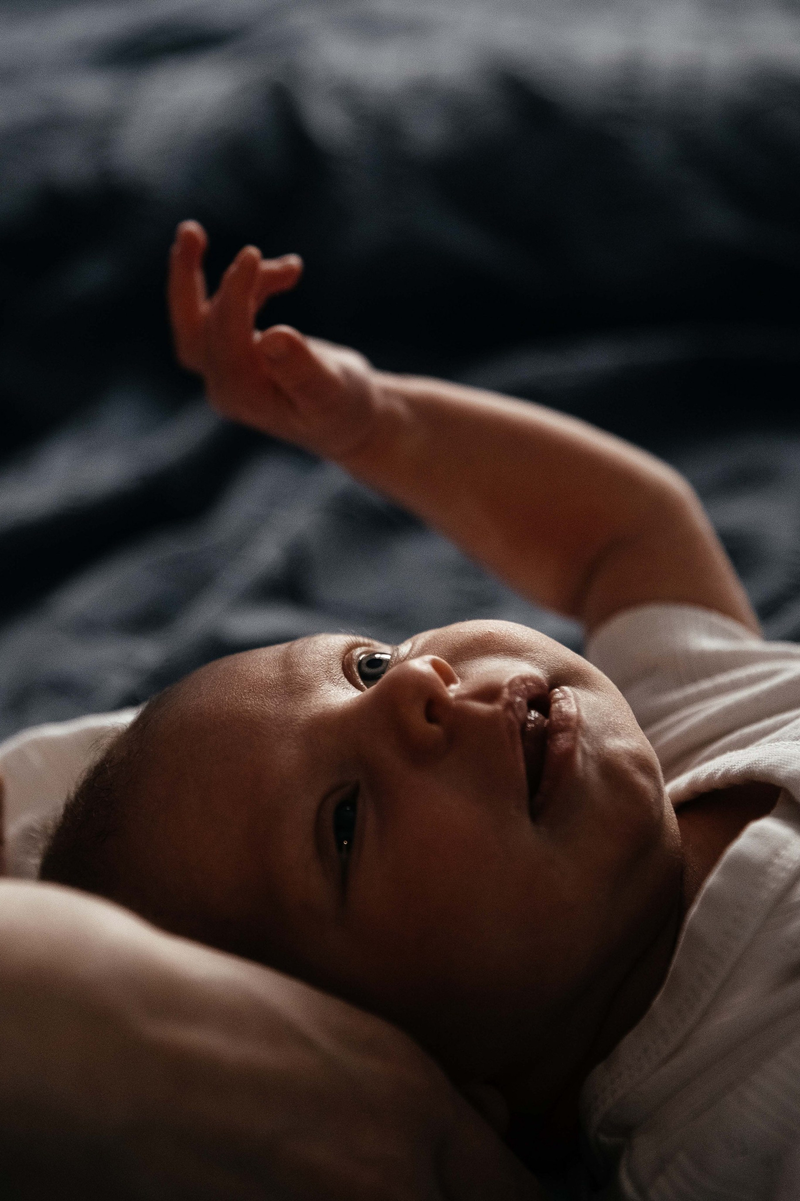 Newborn (Homestory). Wedding Photographer