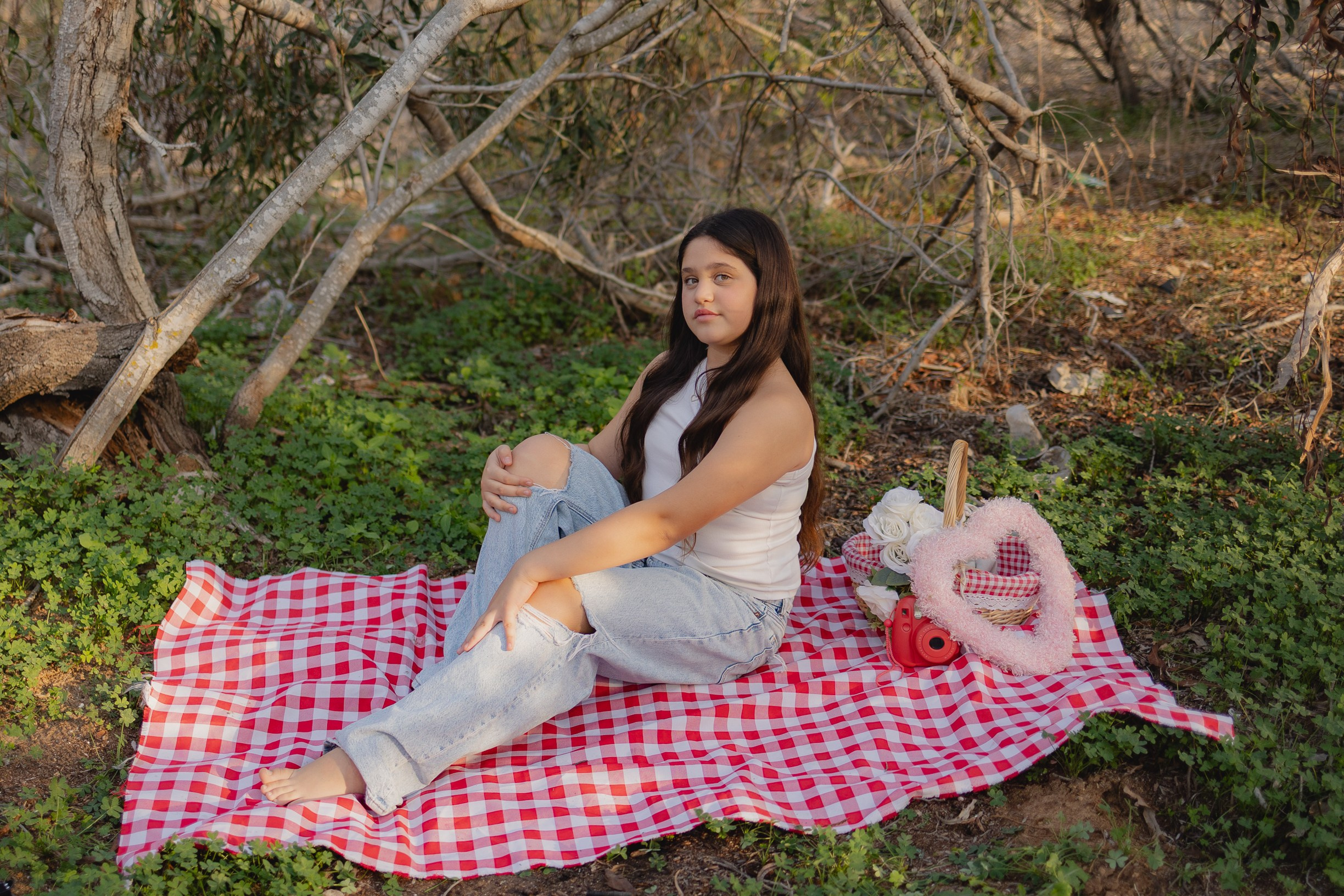 עמדת פיקניק. דף בית