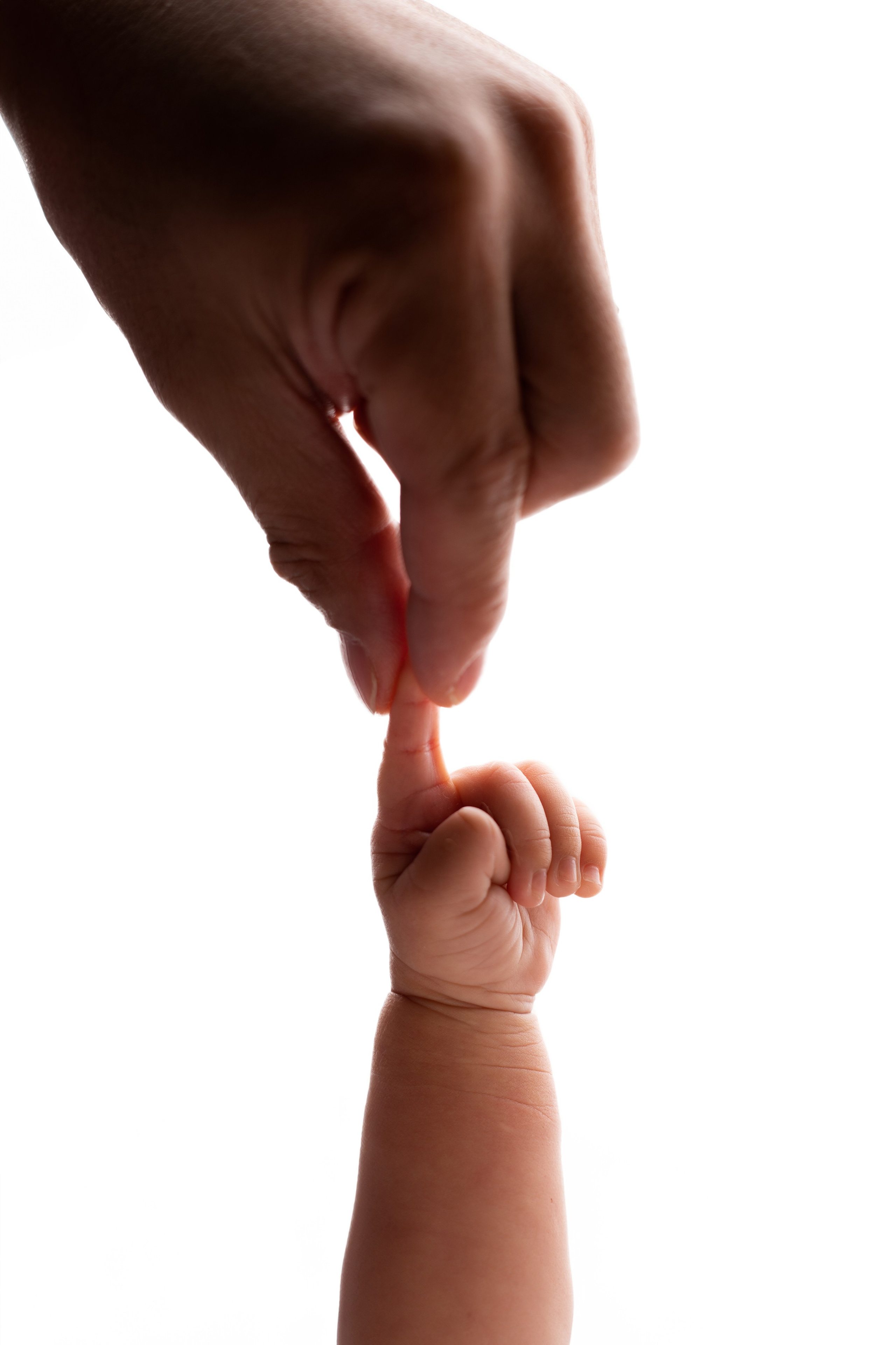 Newborn Photography — Capturing Your Baby’s First Precious Moments. Julia Bolgov Photography | Newborn, Family, Maternity & Milestone Photographer in Bay Area, CA