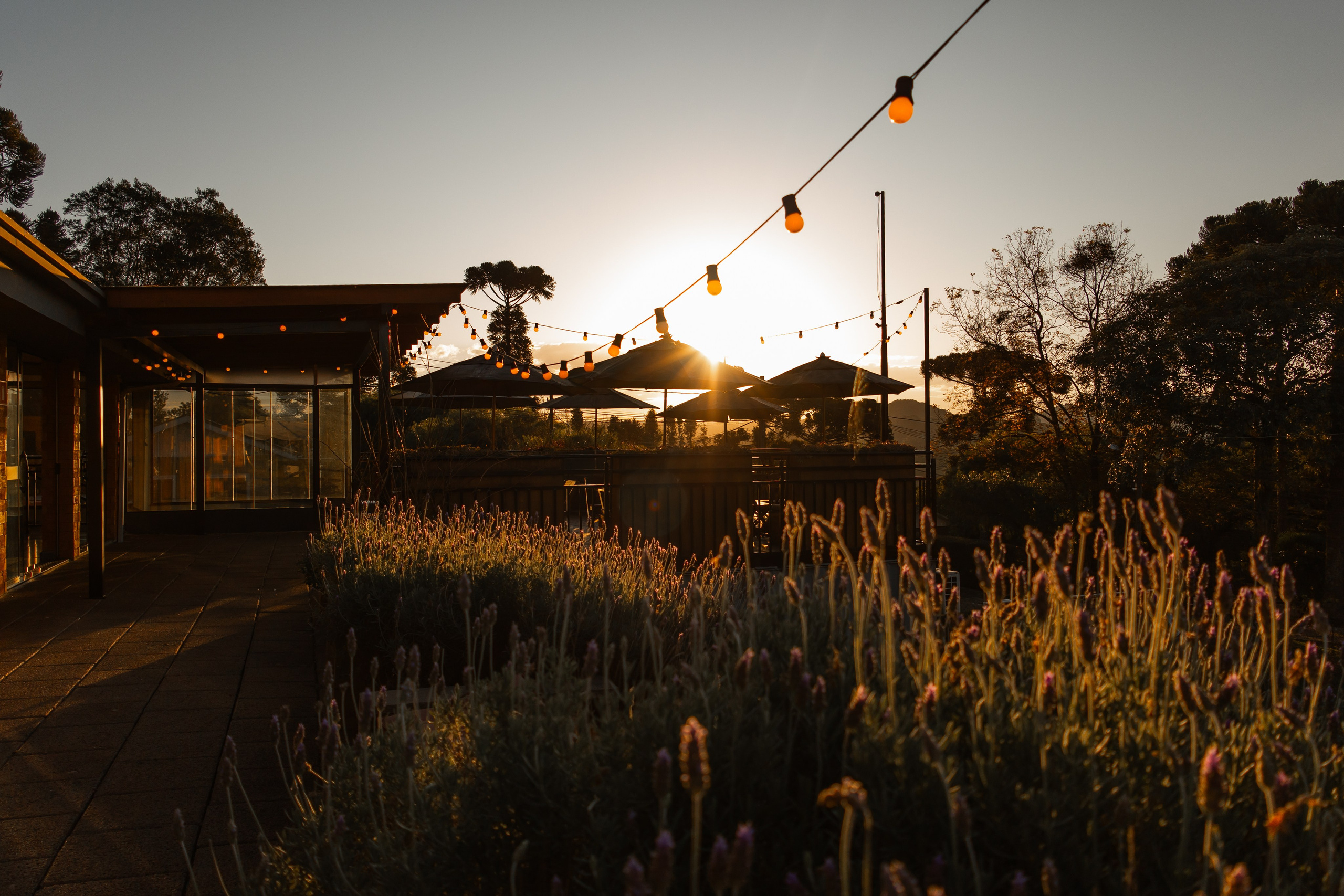 Casamento Victor e Fernanda (recepção)