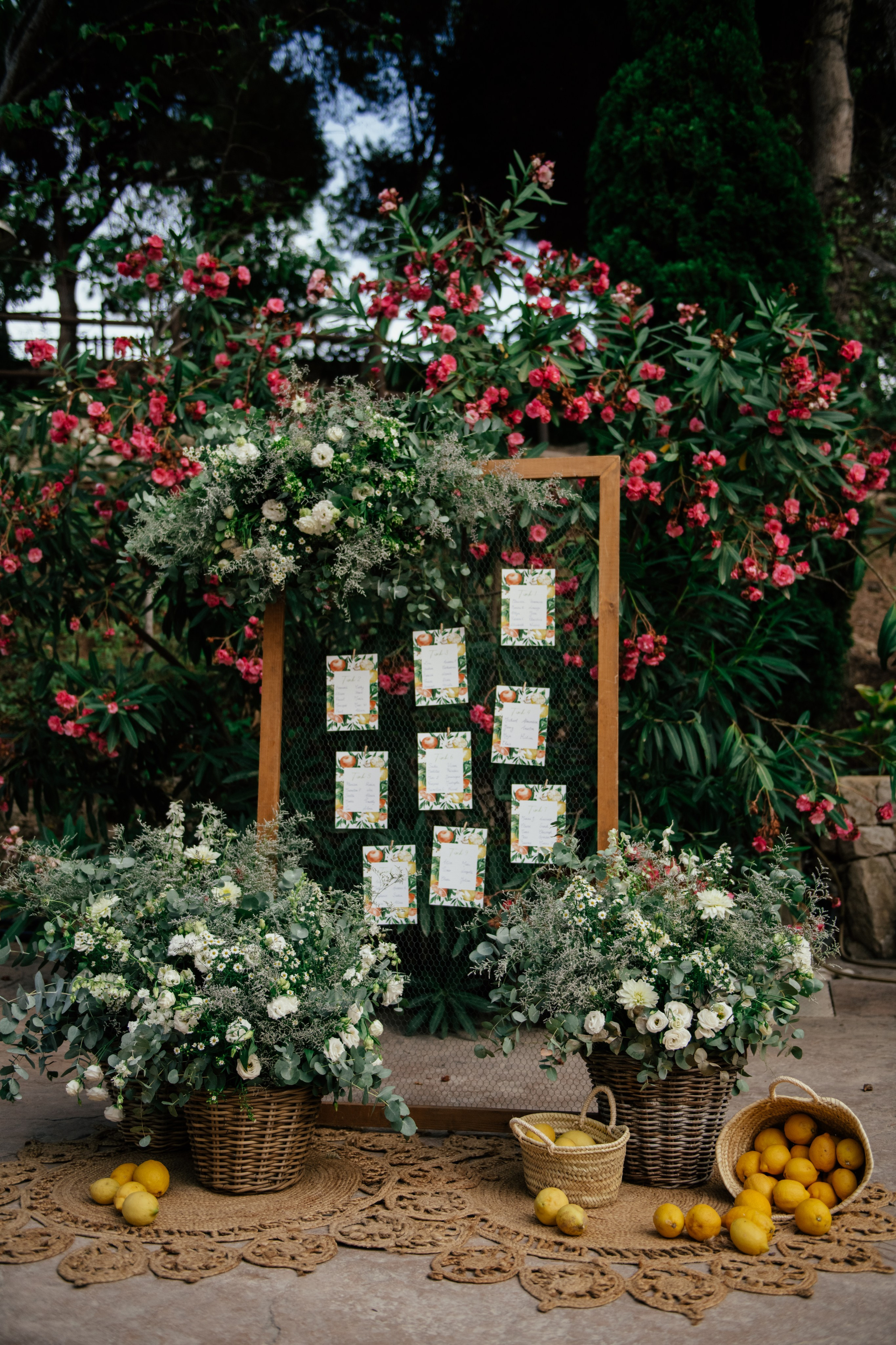 Alicia & Marc (Finca Marques de Montemolar)