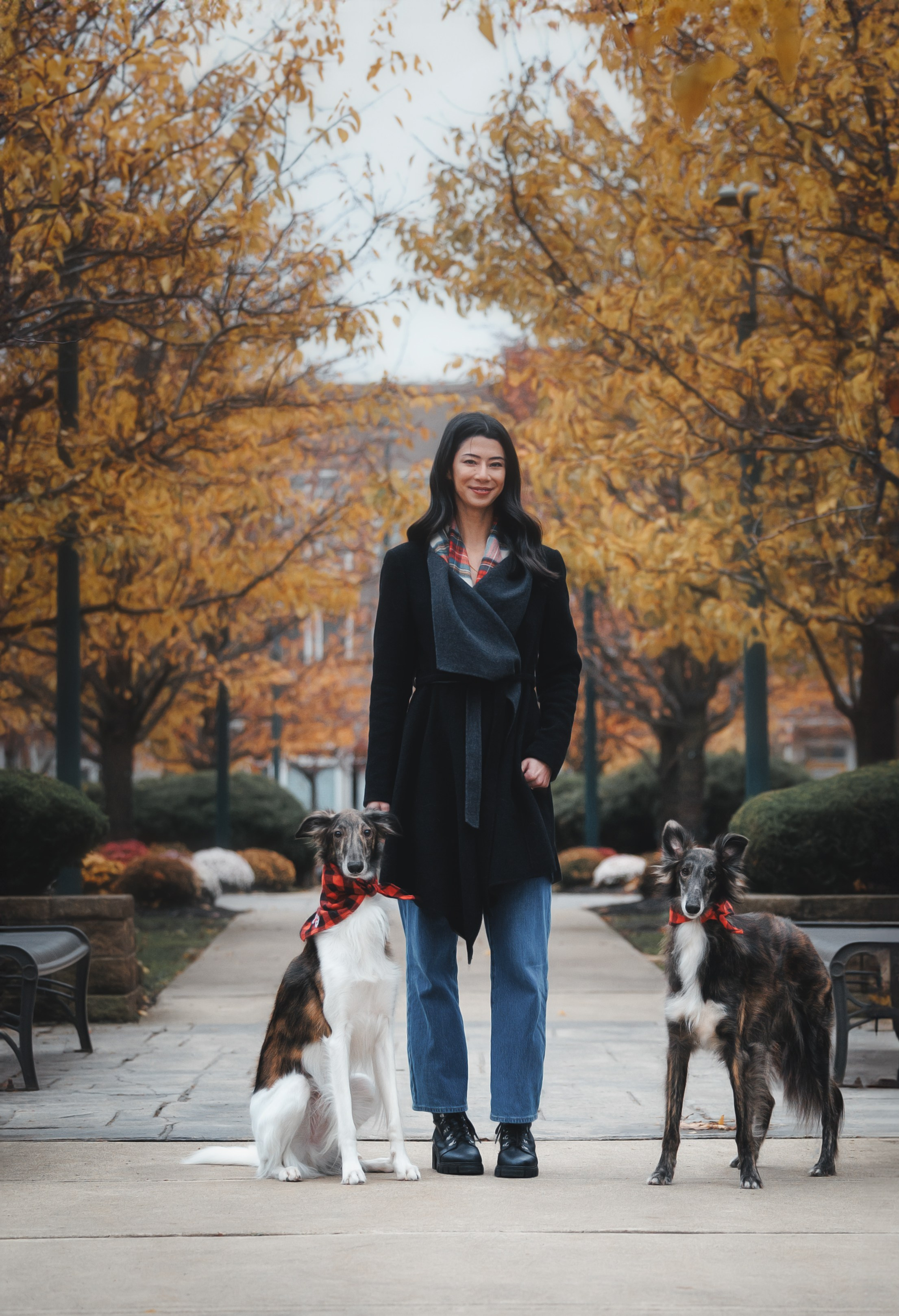 Luca, Oren & Mia. Pet Photographer Viktoriya Aleshenko