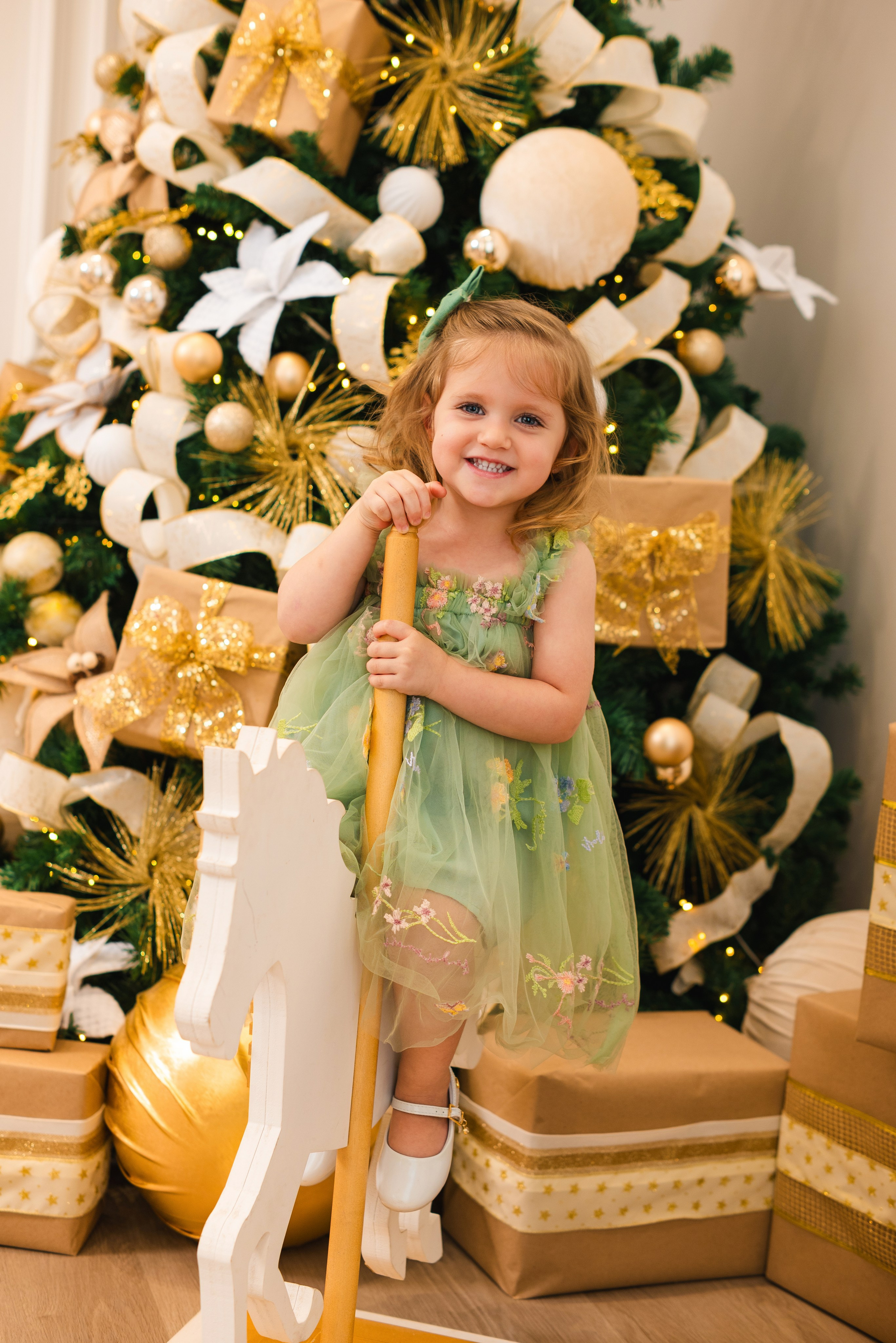 Natal Encantado. Fotografo de casamentos e famílias no Espirito Santo — Marllus Milanez