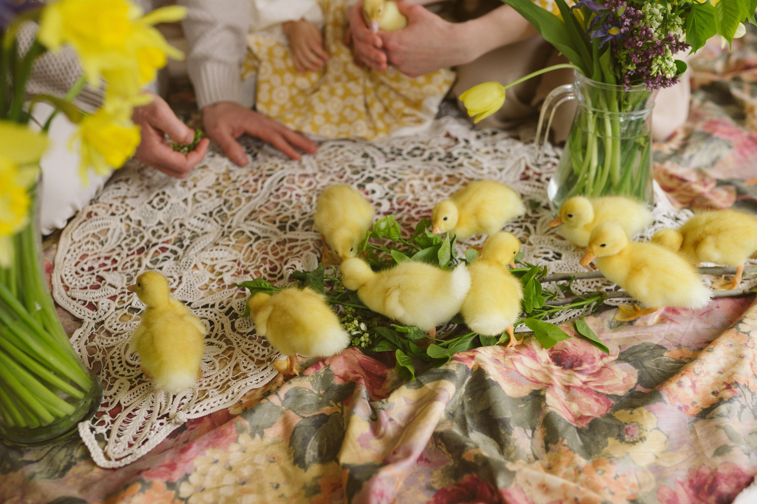 Ședințe Foto de Paște Brașov: Gălbenuș | Mădălina Beda. Madalina Beda- Artist vizual, fotograf, doula la nastere, consultant babywearing Brasov si in toata tara