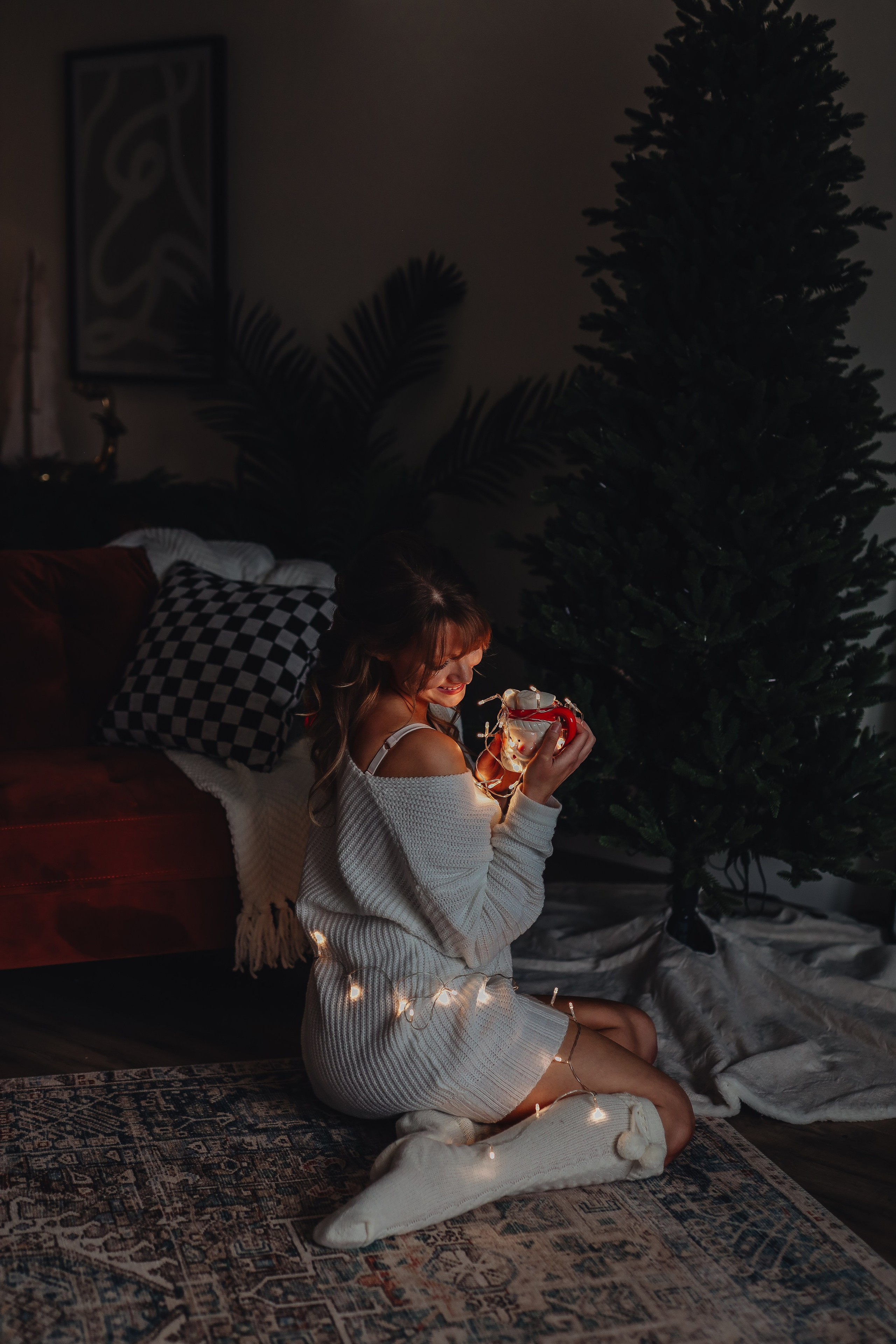 Christmas minis. Ellen Litvinova photography