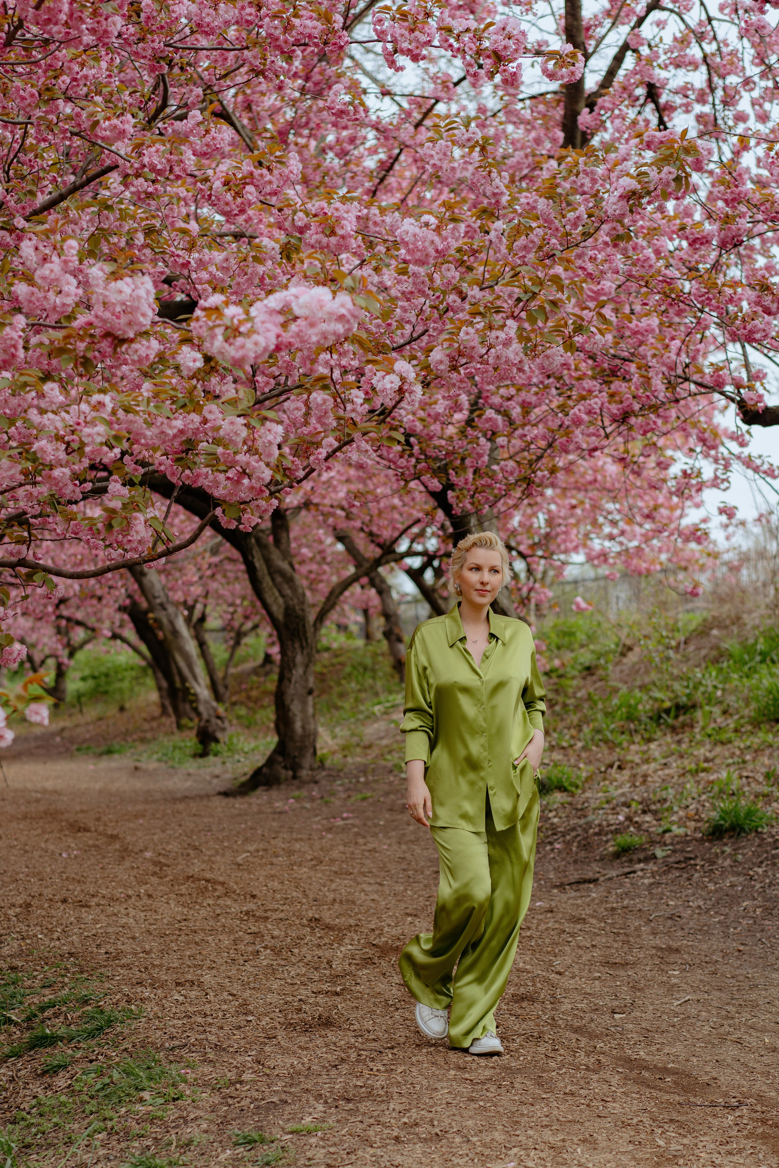 Central park blossoms. Videographer and photographer in New York // MAKAROV.VIDEO
