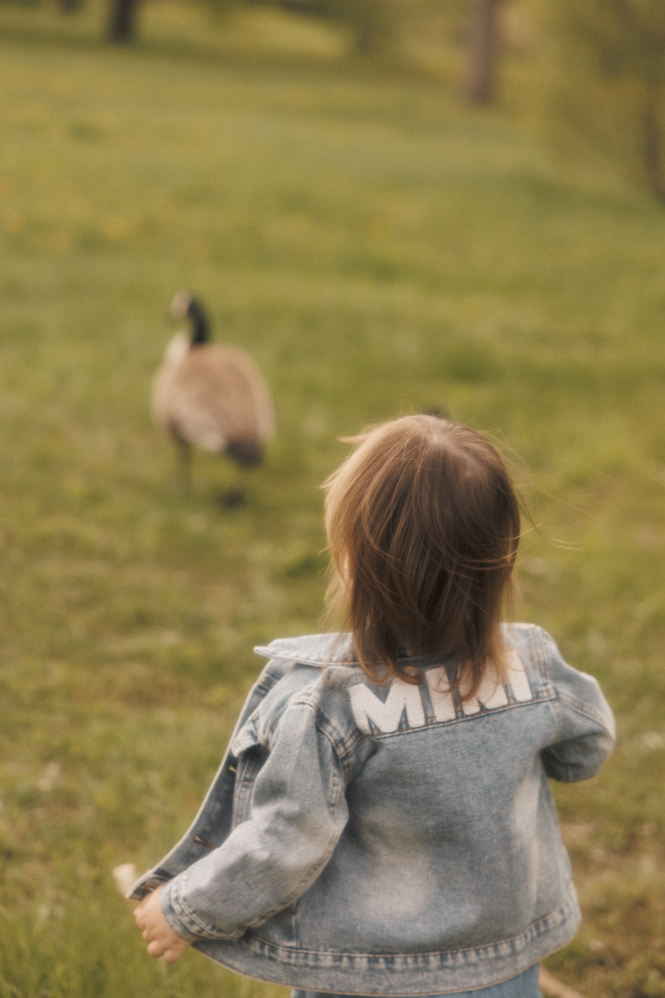Family. Anna Gabitova — Family, Maternity, Lifestyle Photographer in Montreal