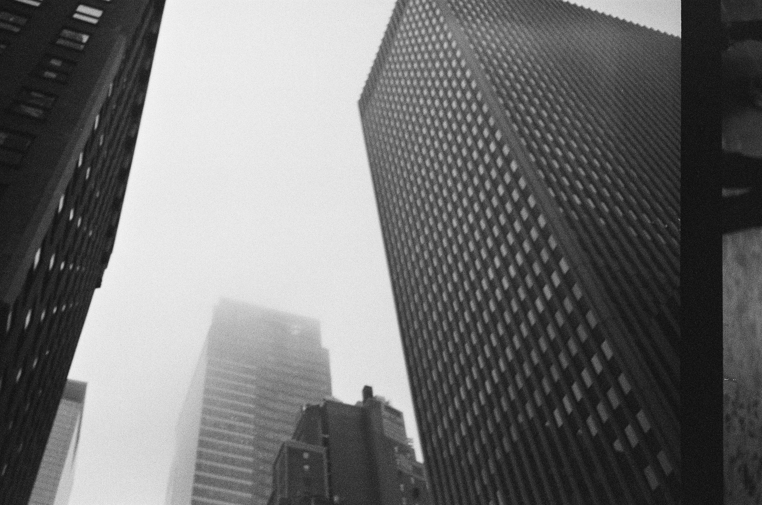 Film. NYC photographer | portraits, couples, graduation