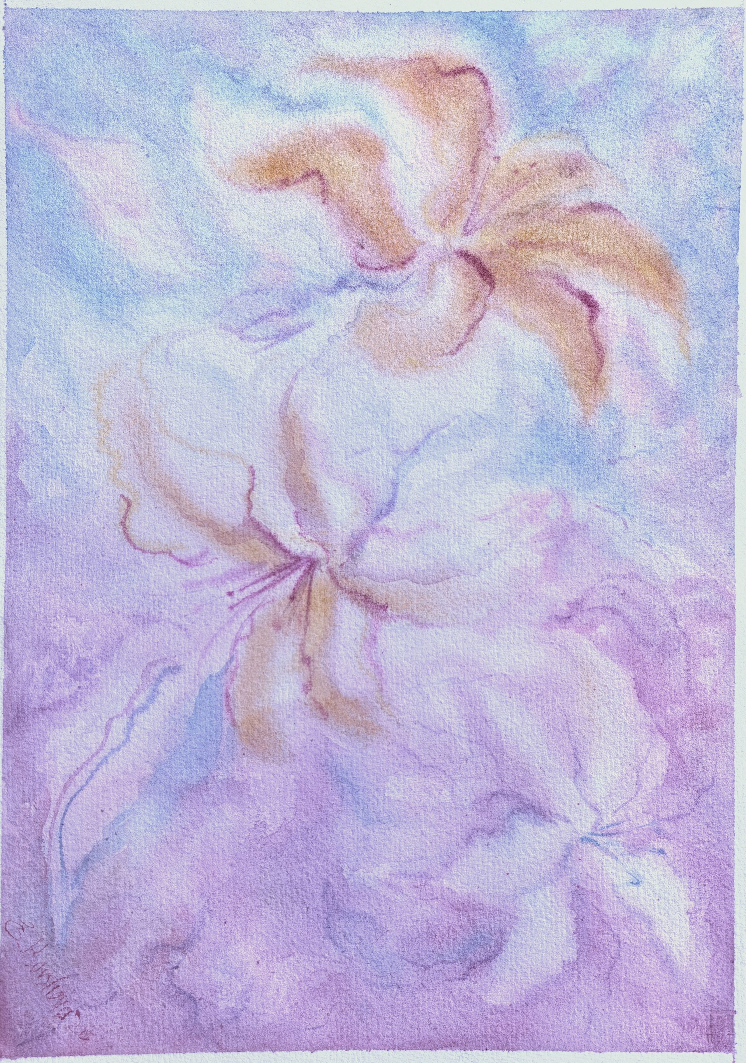 New watercolor collection Summer 2026. Professional Artist, teacher of art, Artistic Photographer In Dubai (U
