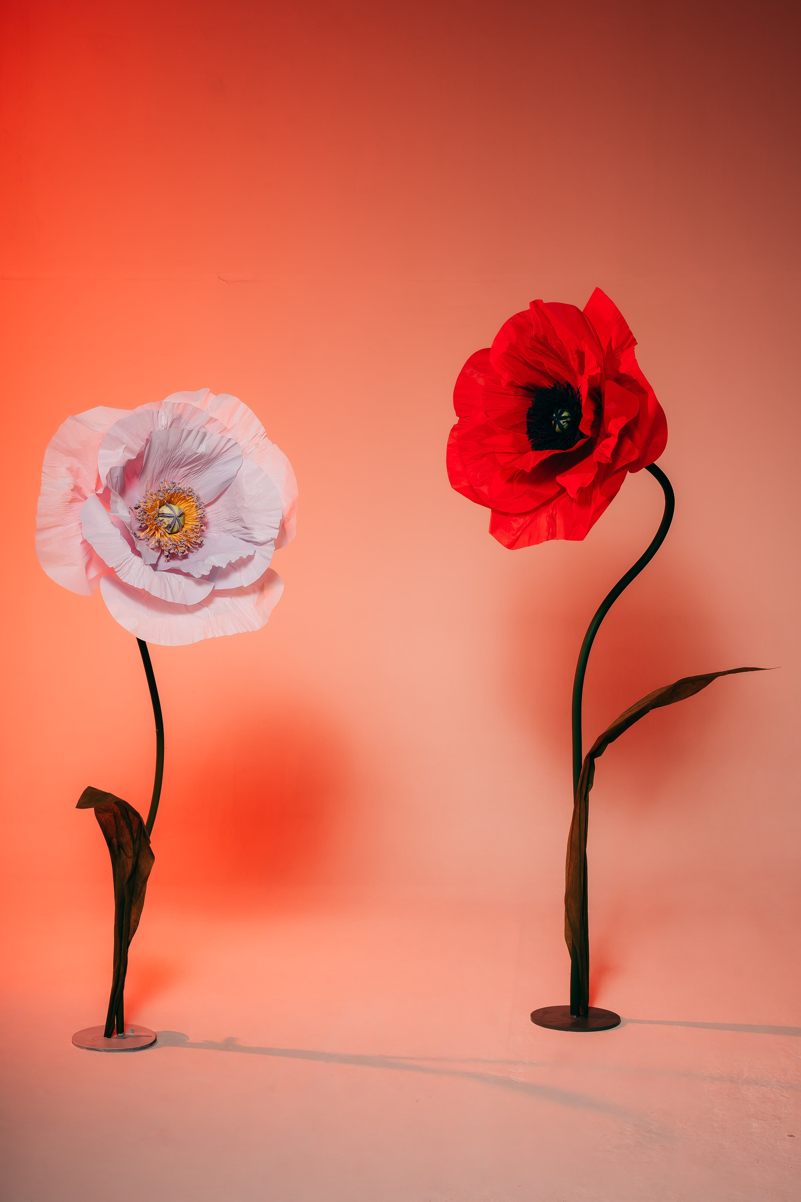 Ada & Arina (Verona, IT). Diana Fedrigo | Fotografa matrimoni in Italia