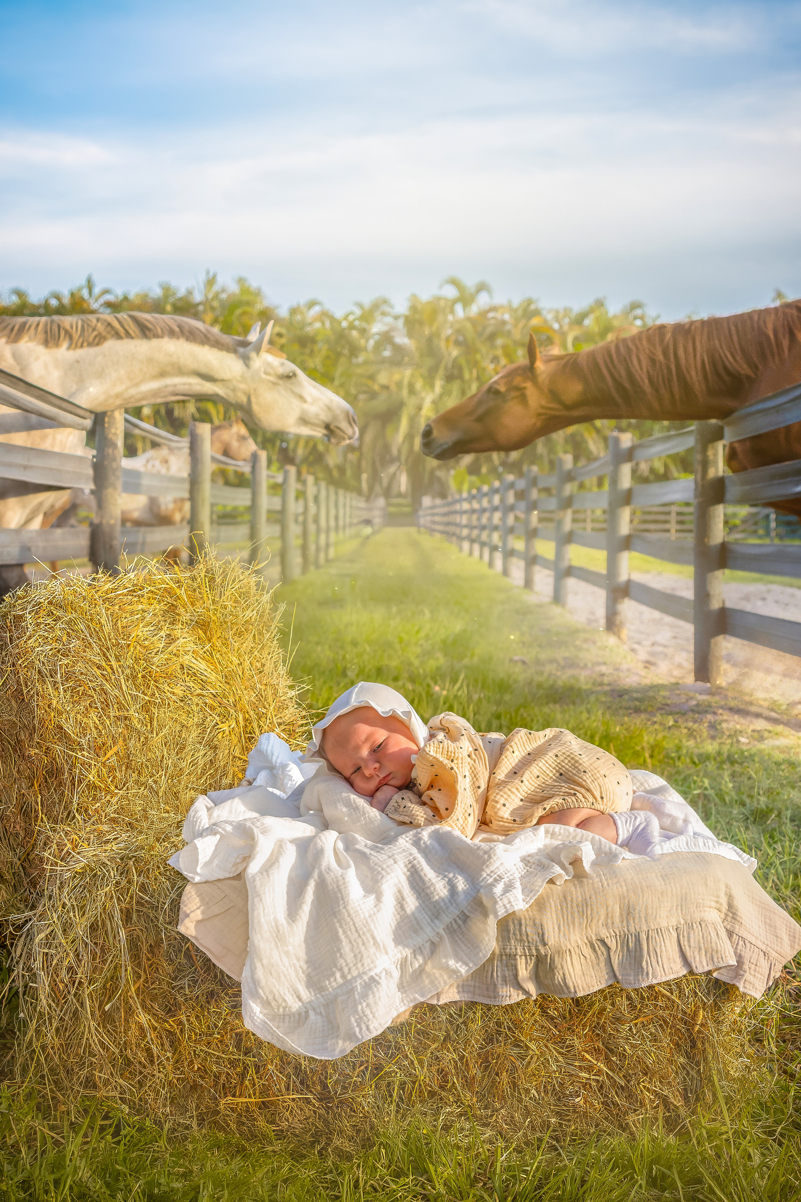 Lena Fedorov Photography — maternity, newborn, family, birth & beauty in Boca Raton, South Florida