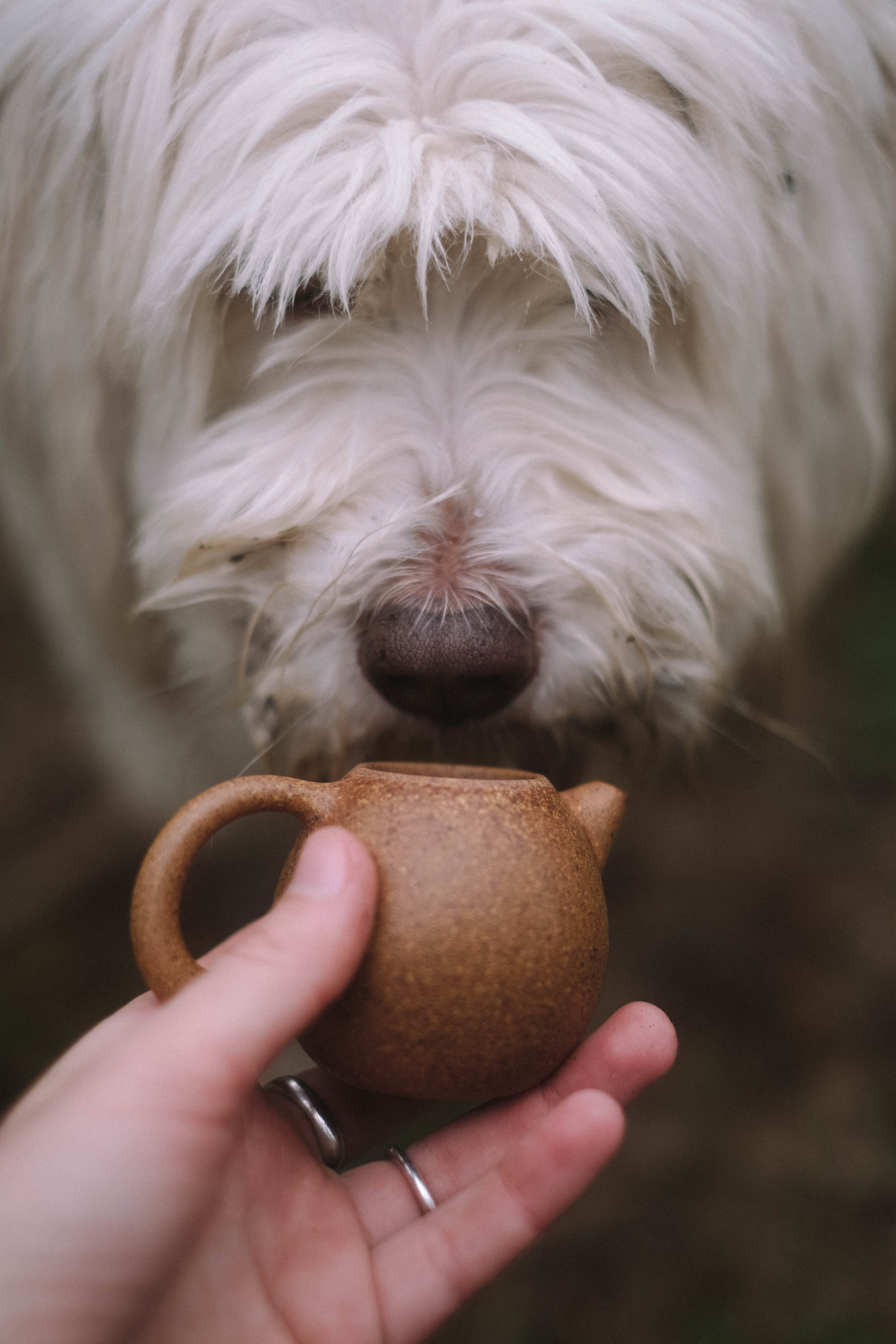 Paula, Fynn&Steve. Authentische Familienfotografie in Köln