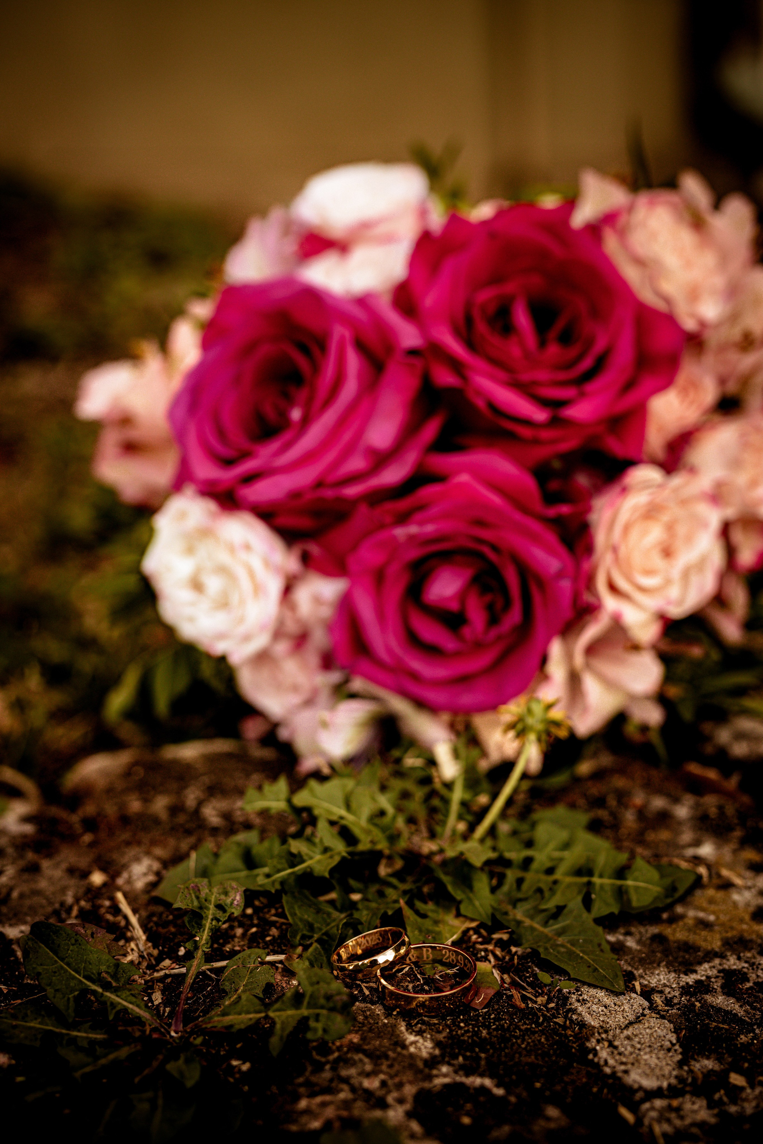 Sofija & Vladimir. Marko Tucić Photography | Fotograf Zrenjanin