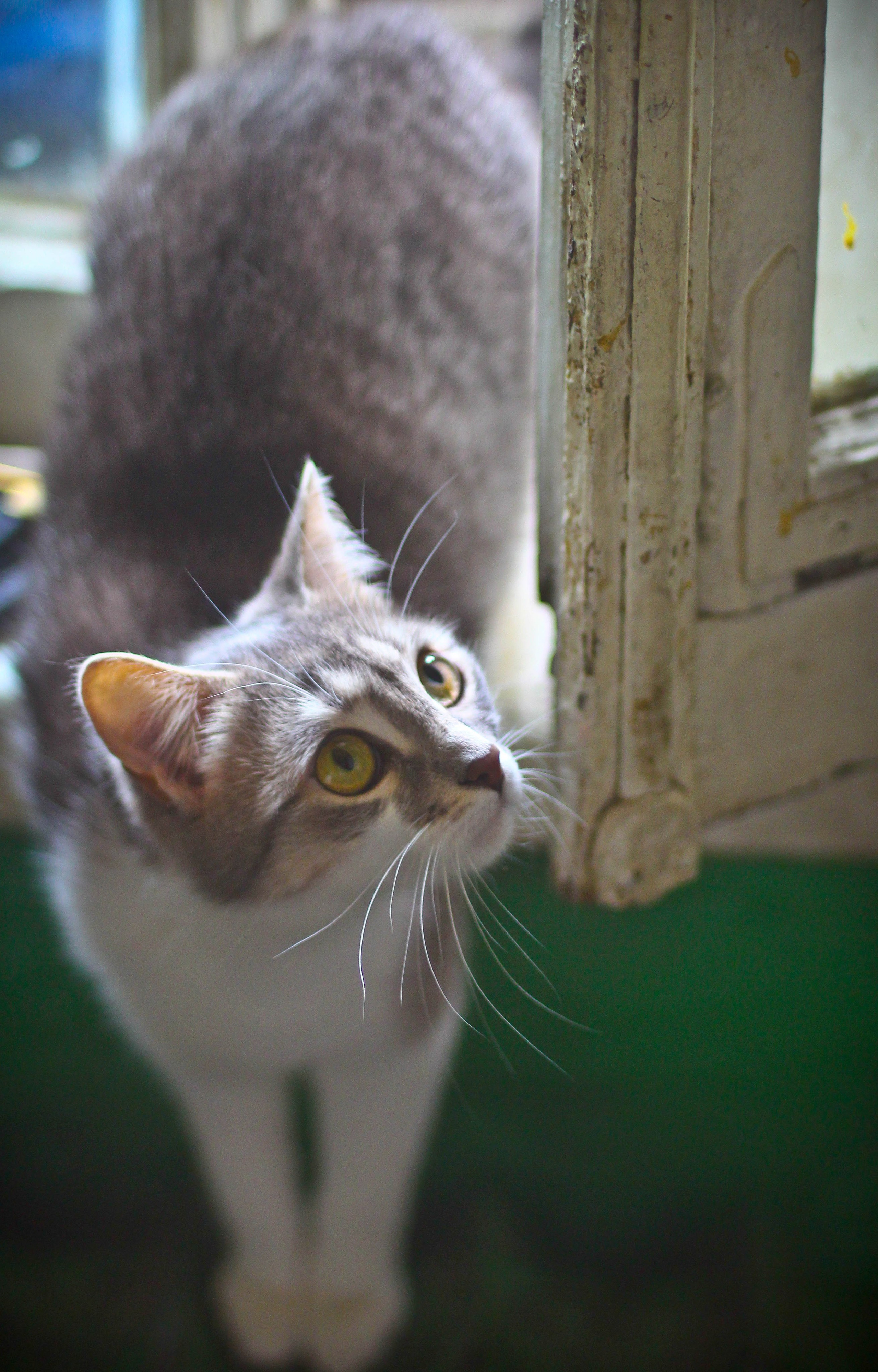 2012. Стрит-фотография, полная абсурда, идиотизма и красоты