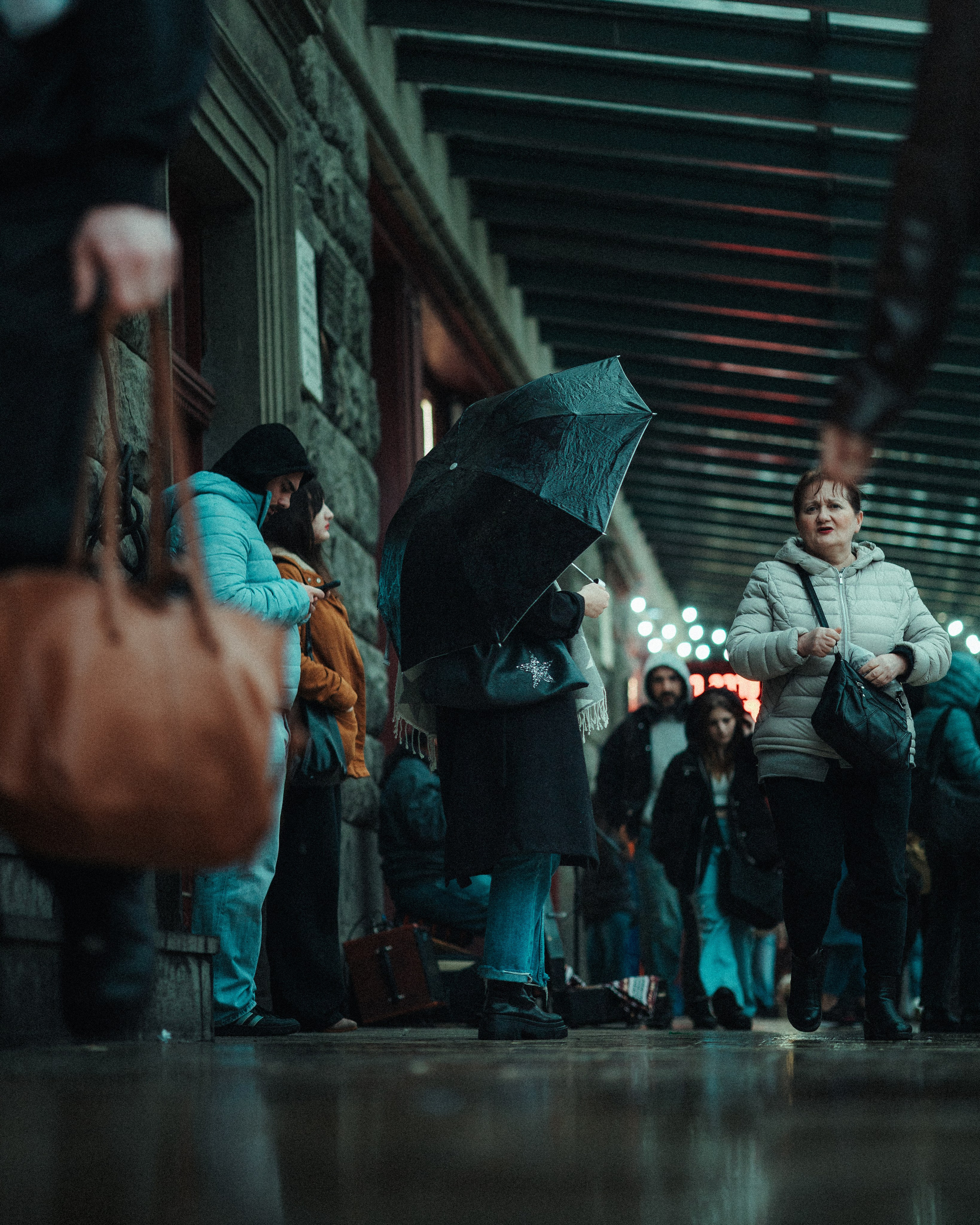 T B I L I S I 2025. Bspander